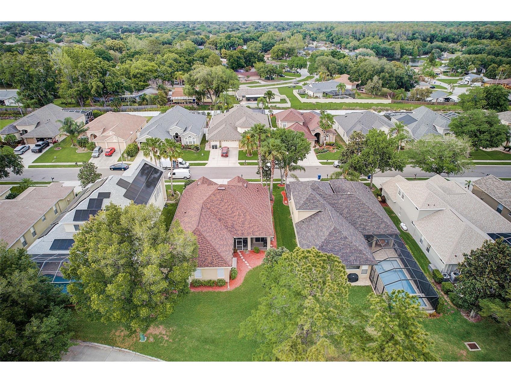 23338 Dinhurst Court Land O Lakes FL 34639 TB8520093 image56