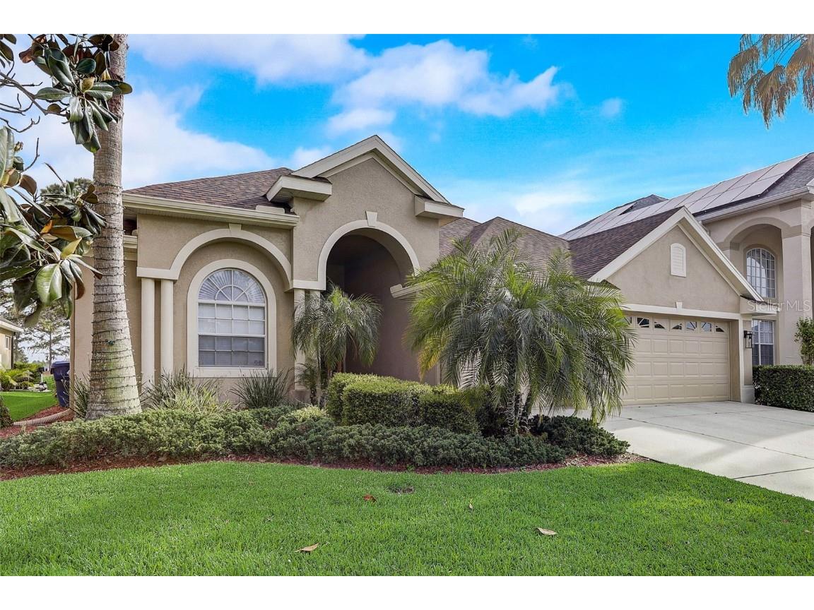 23338 Dinhurst Ct Land O Lakes FL 34639 T3526873 image1