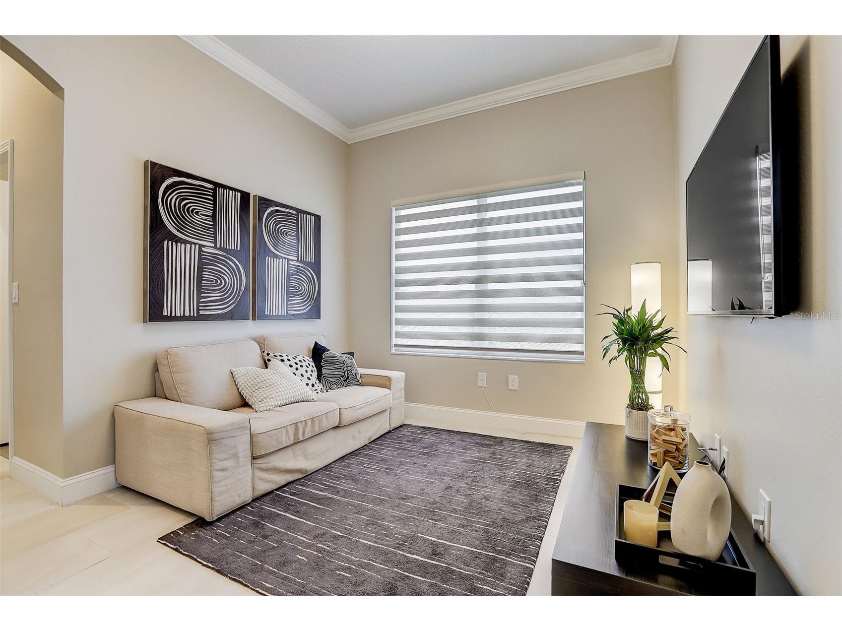 23338 Dinhurst Ct Land O Lakes FL 34639 TB8499070 image23