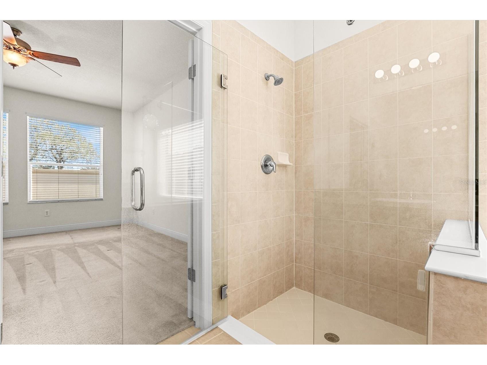 2334 Barracuda Court Holiday FL 34691 TB8481092 image23