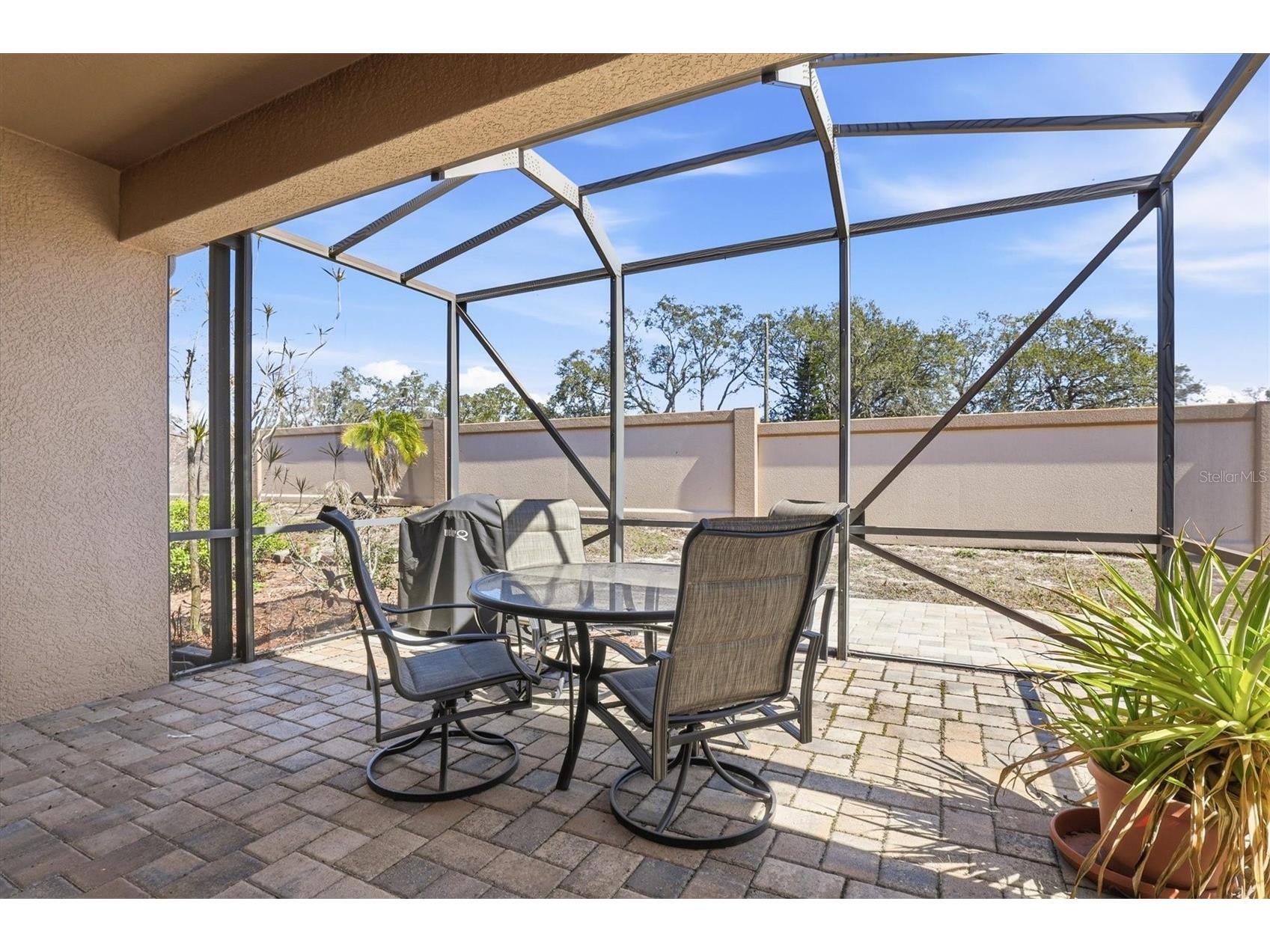 2334 Barracuda Court Holiday FL 34691 TB8481092 image33