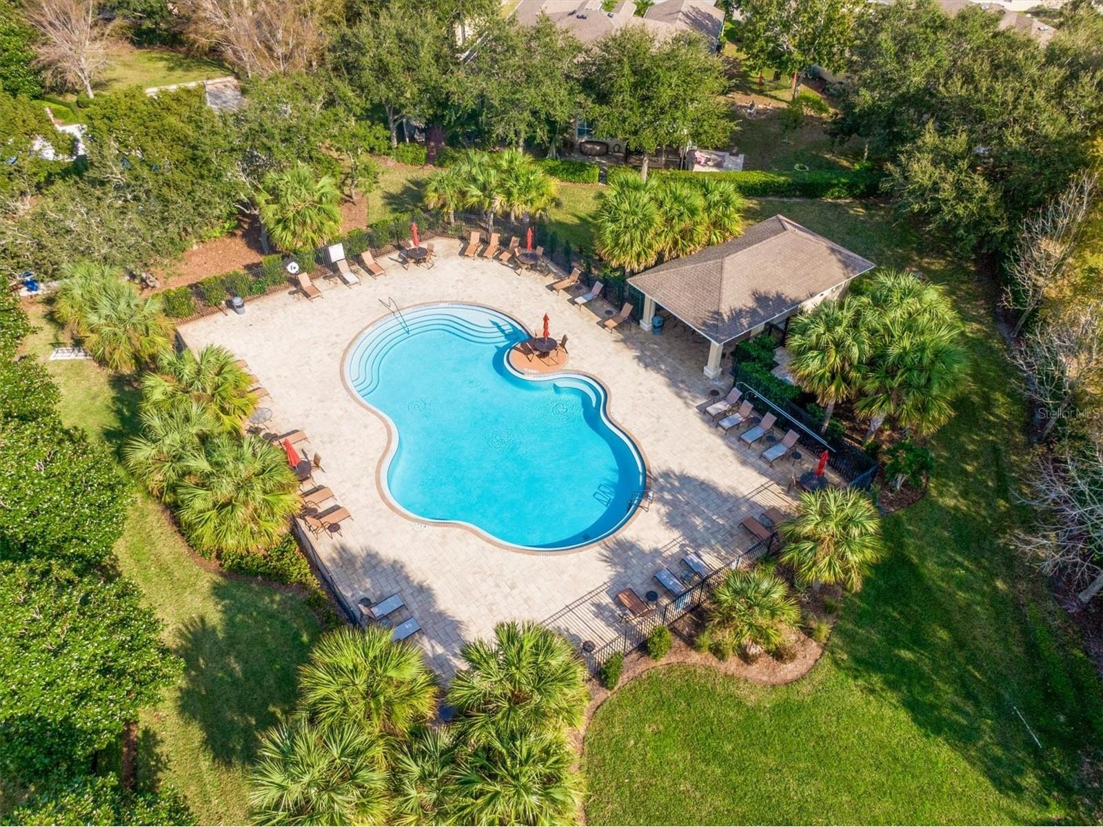 2334 Barracuda Court Holiday FL 34691 TB8481092 image40