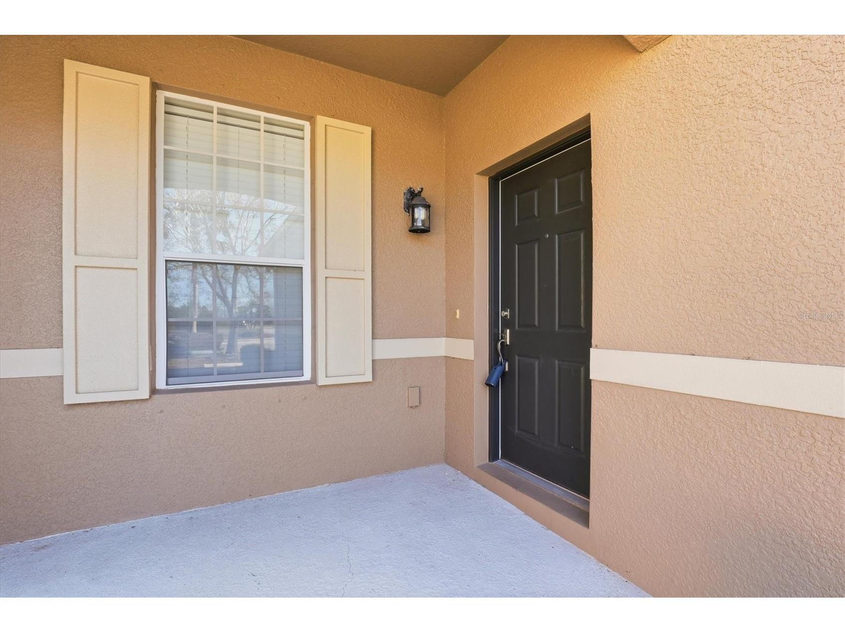 2334 Barracuda Court Holiday FL 34691 TB8481092 image5