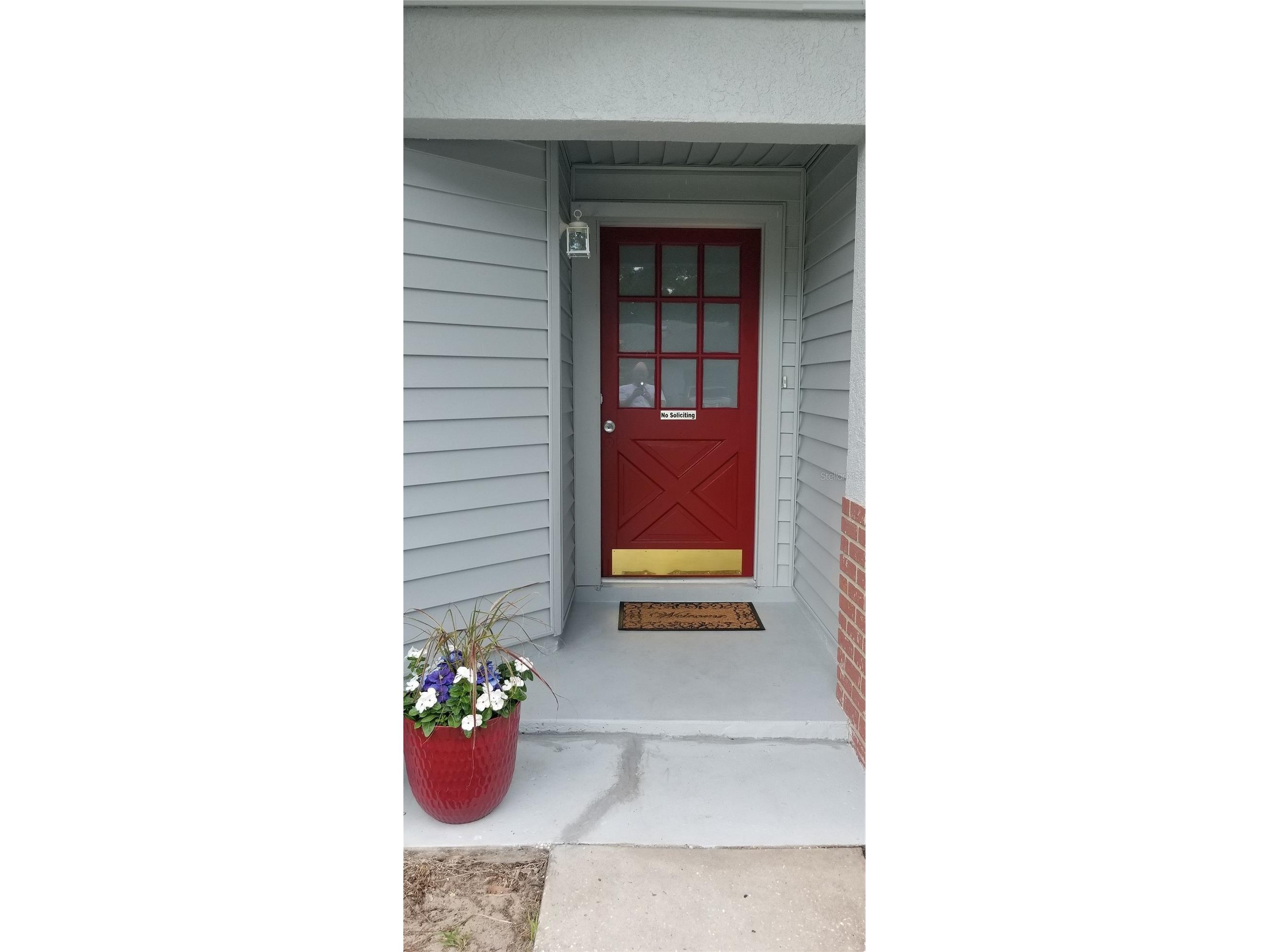 2334 Citrus Hill Rd Palm Harbor FL 34683 TB8506511 image2