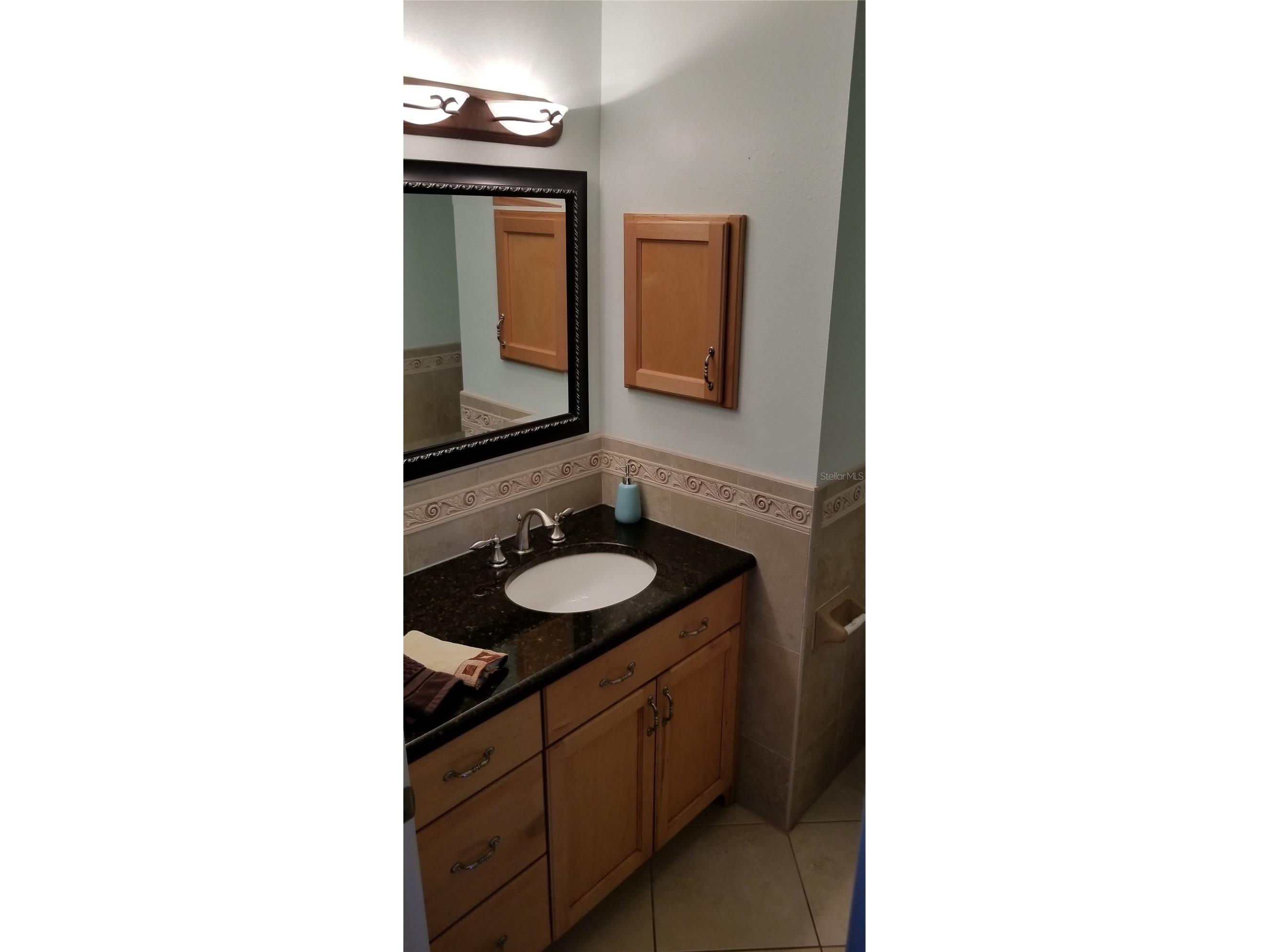 2334 Citrus Hill Rd Palm Harbor FL 34683 TB8506511 image5