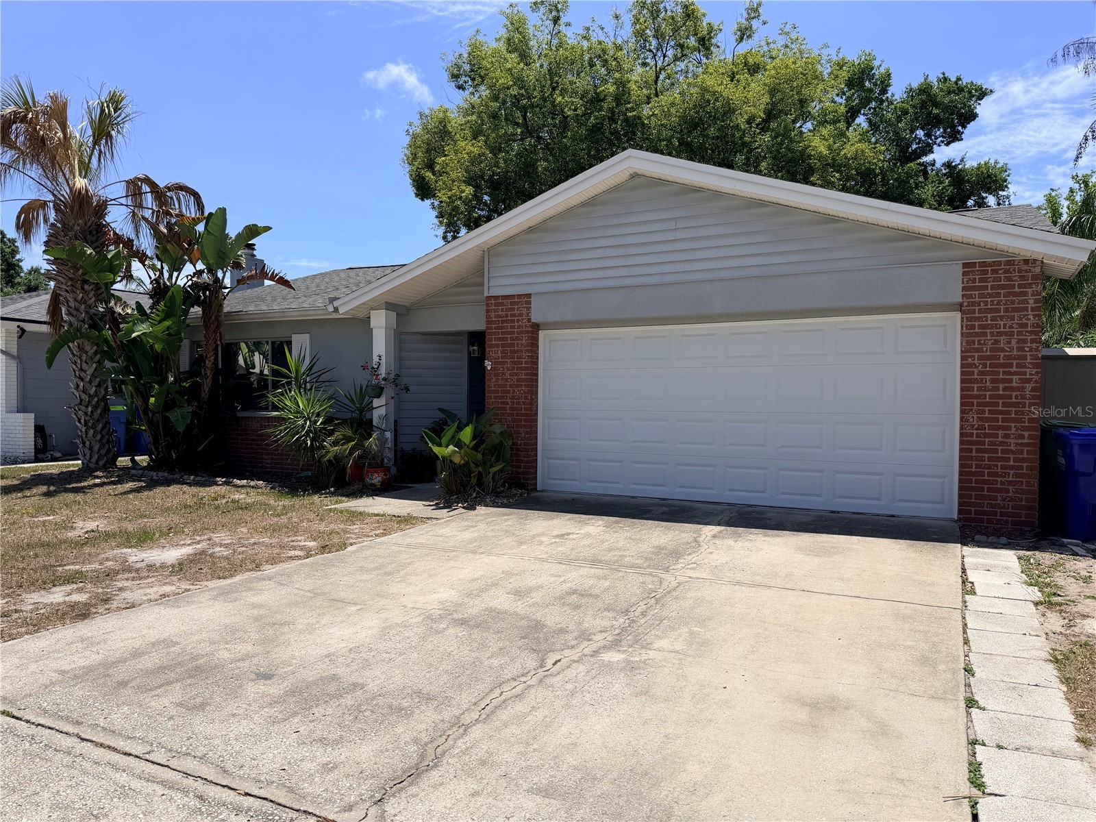 2334 Citrus Hill Rd Palm Harbor FL 34683 TB8506511 image7