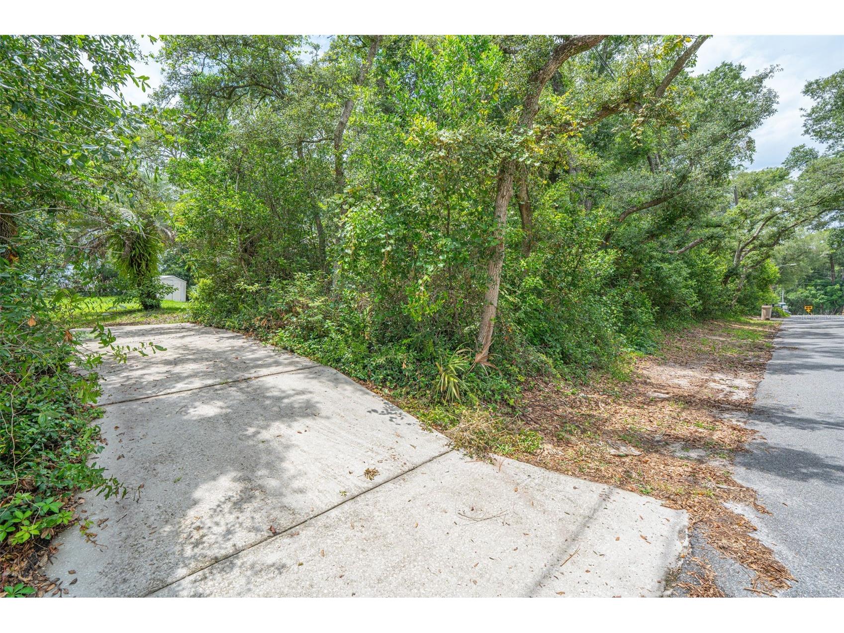 2334 Dartmouth Road Deland FL 32724 O6413071 image43