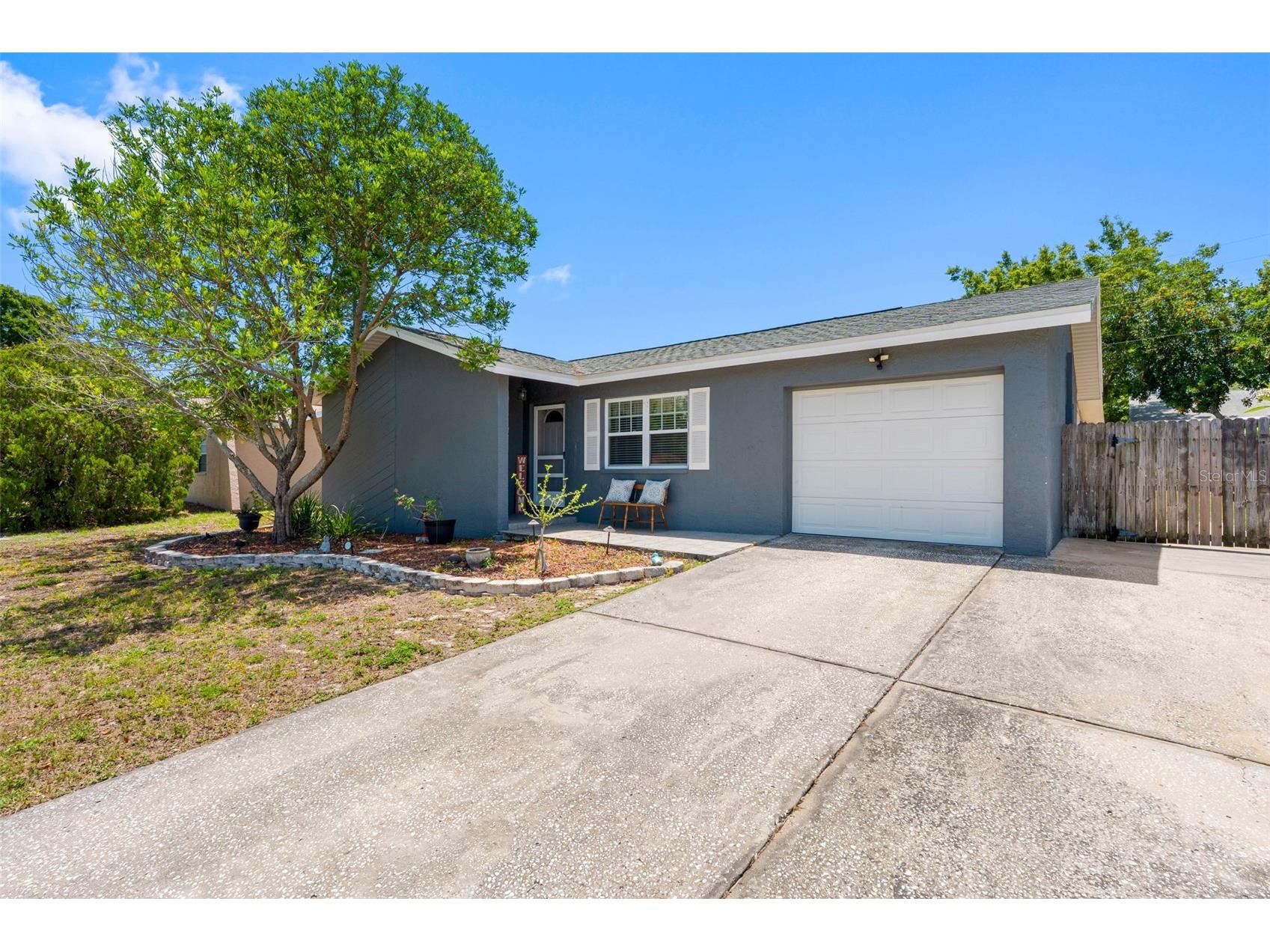 2334 Knoll Avenue S Palm Harbor FL 34683 TB8506902 image1
