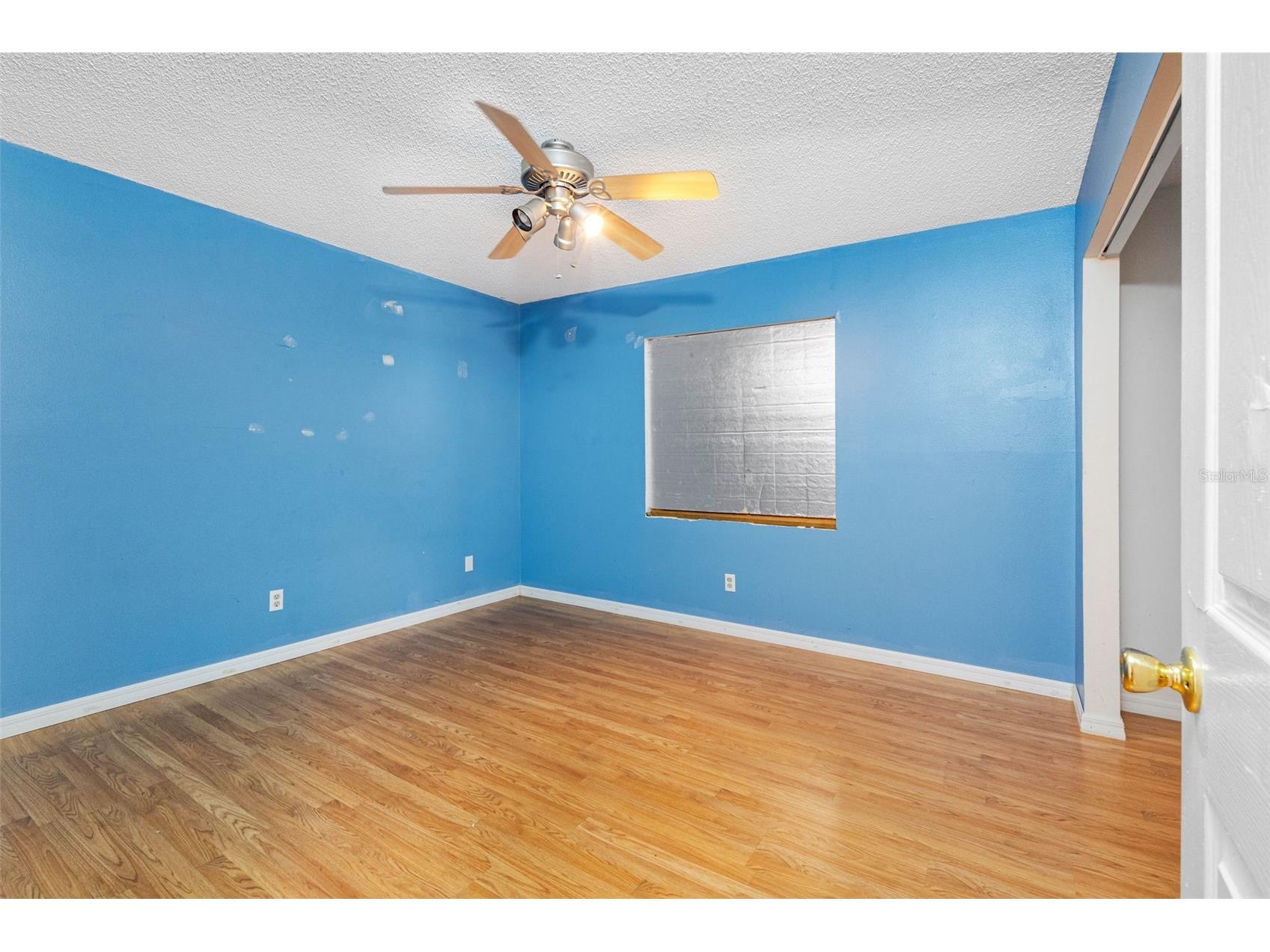 2334 Knoll Avenue S Palm Harbor FL 34683 TB8506902 image18