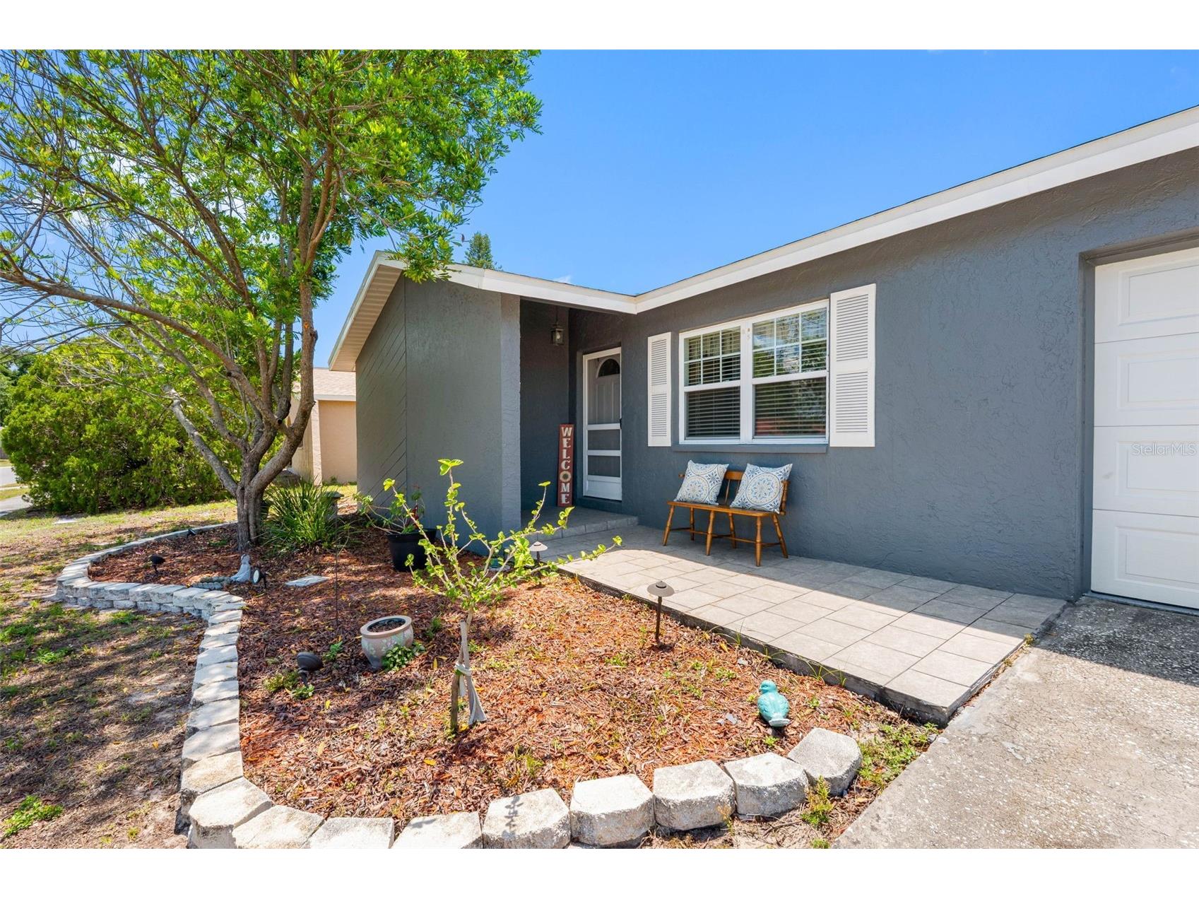 2334 Knoll Avenue S Palm Harbor FL 34683 TB8506902 image2