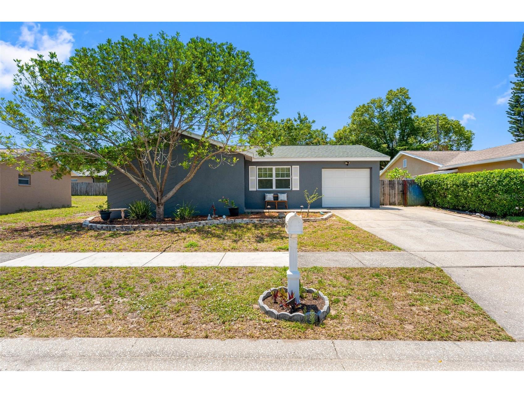 2334 Knoll Avenue S Palm Harbor FL 34683 TB8506902 image3