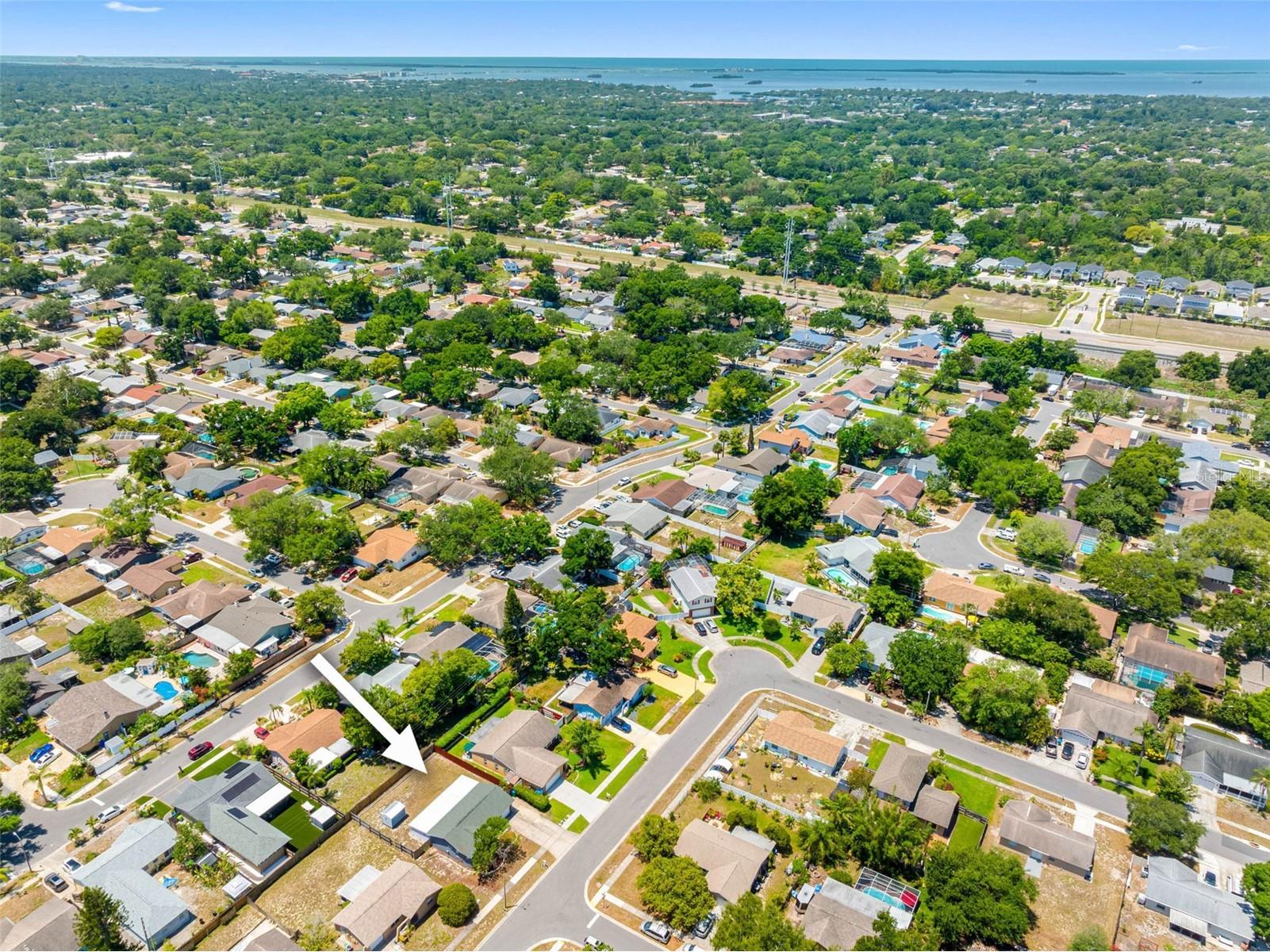 2334 Knoll Avenue S Palm Harbor FL 34683 TB8506902 image31