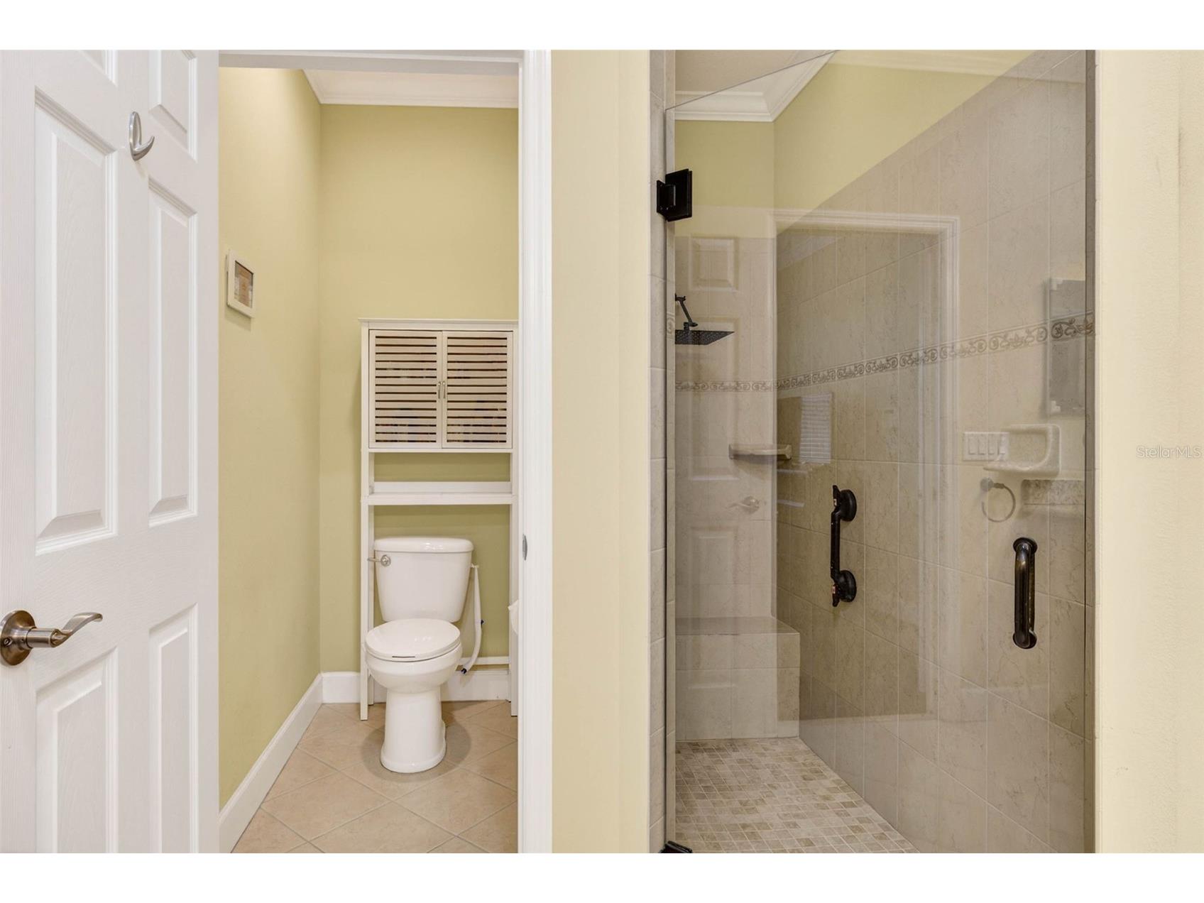 2334 Oakley Green Drive #71 Sun City Center FL 33573 TB8491786 image42