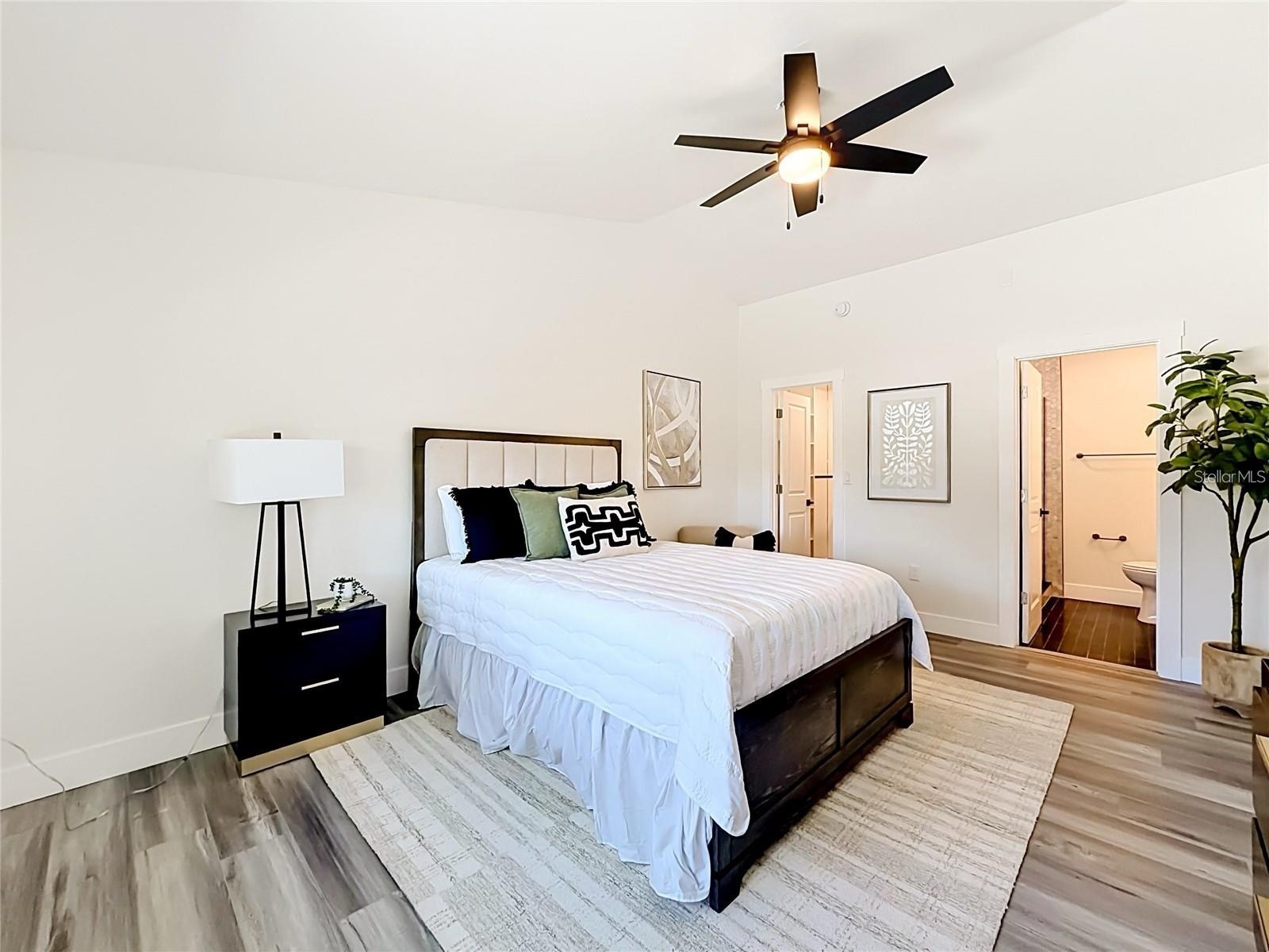 2335 Murilla Way S Saint Petersburg FL 33712 - LAKE MAGGIORE TB8513232 image14