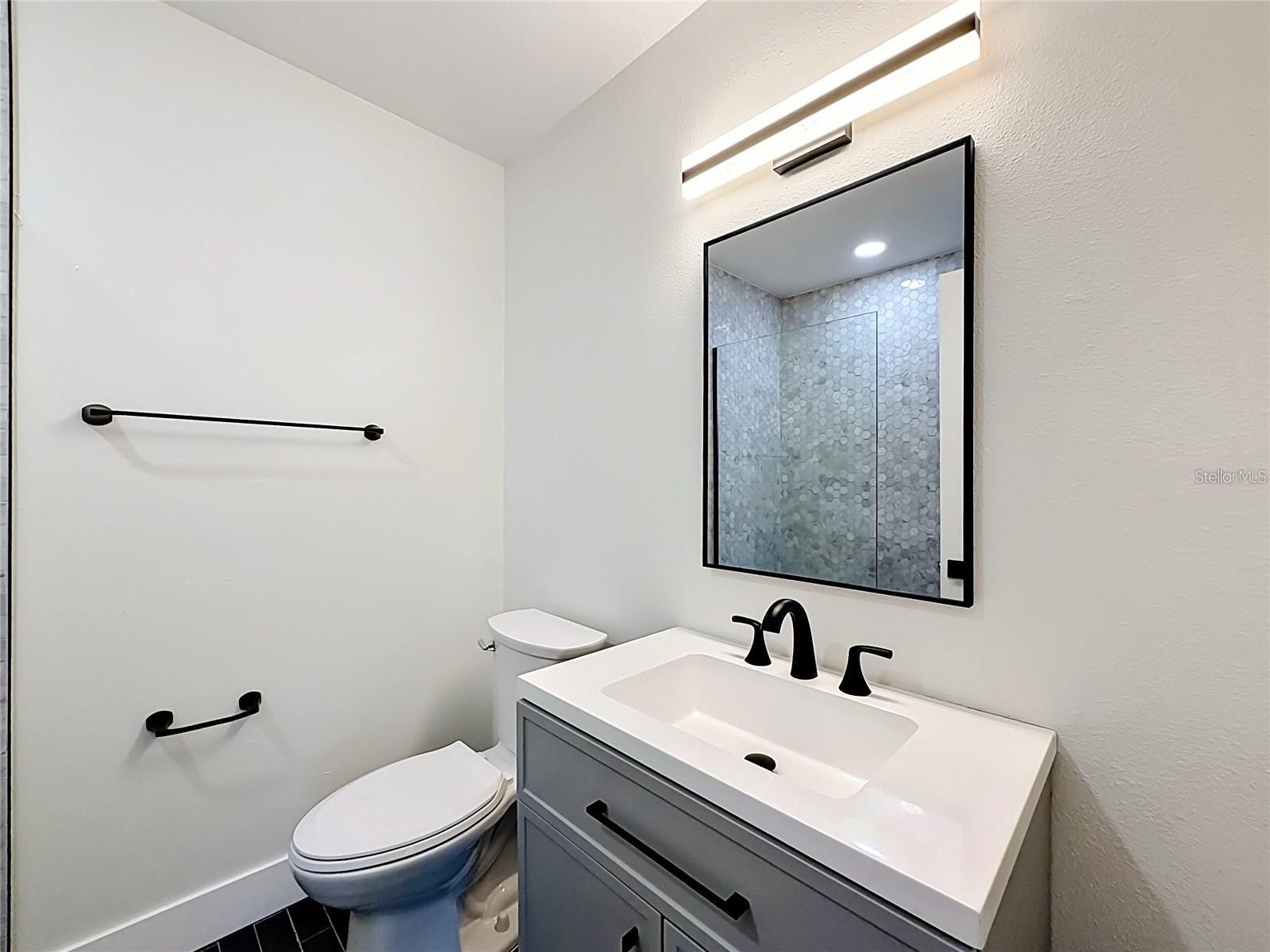 2335 Murilla Way S Saint Petersburg FL 33712 - LAKE MAGGIORE TB8513232 image19