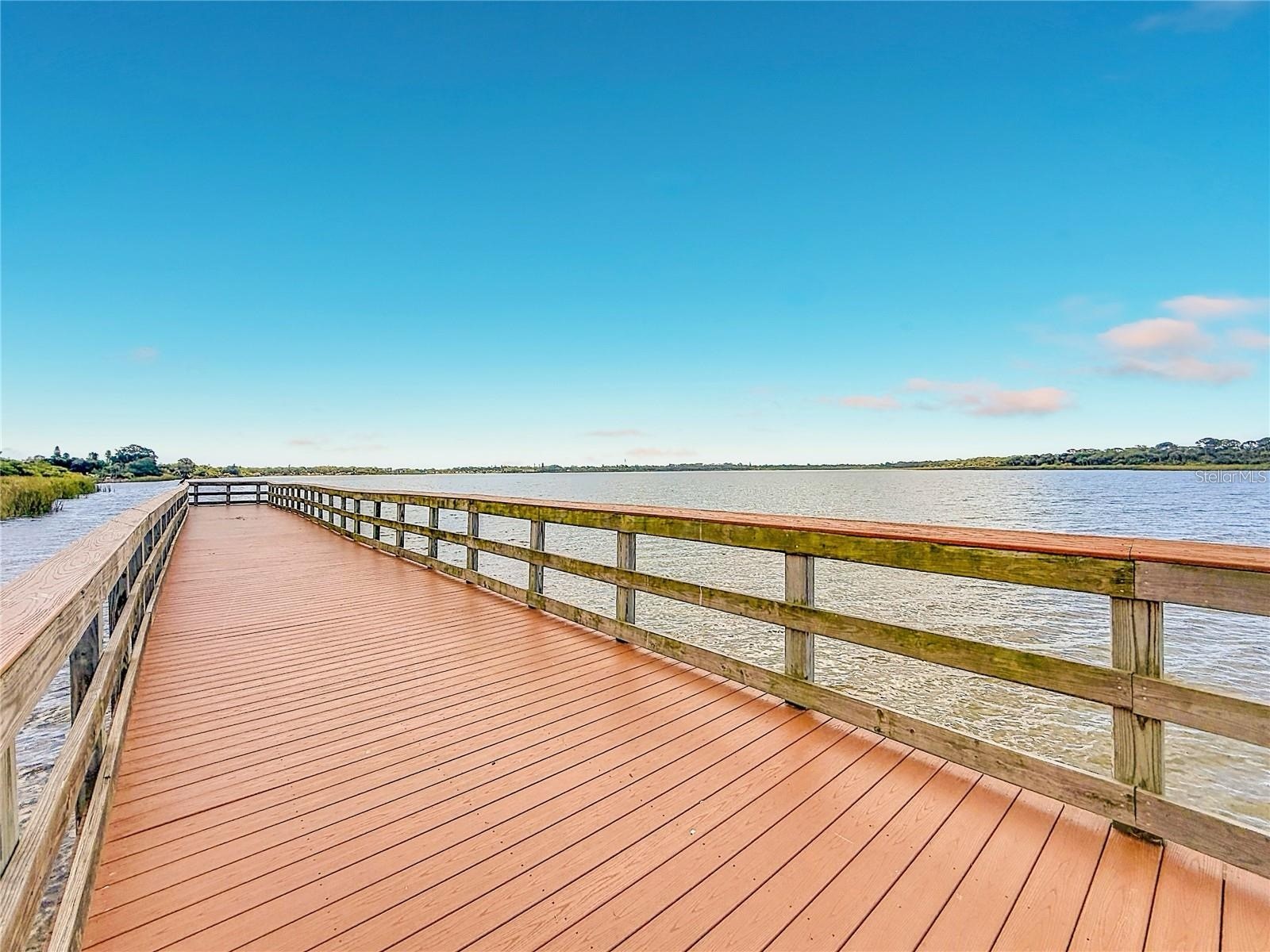 2335 Murilla Way S Saint Petersburg FL 33712 - LAKE MAGGIORE TB8513232 image33
