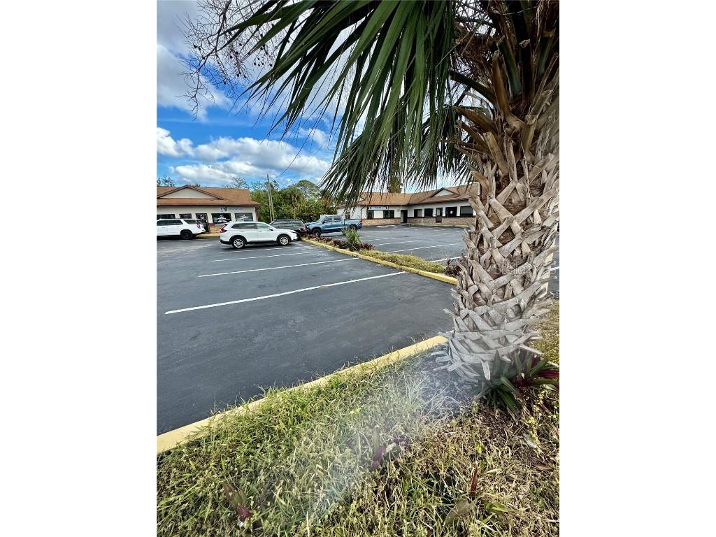 2335 S Ridgewood Avenue South Daytona FL 32119 NS1083248 image7