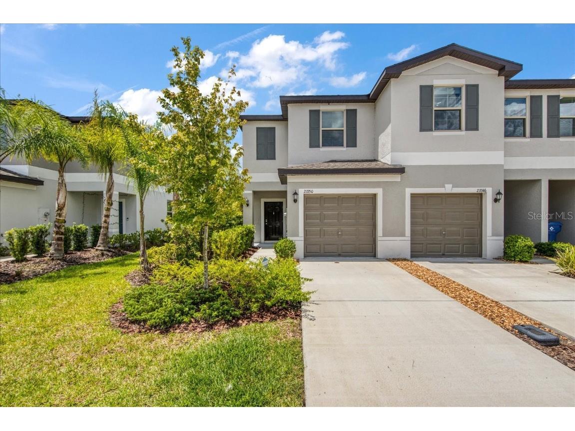 23350 Papyrus Way Lutz FL 33549 T3536804 image1