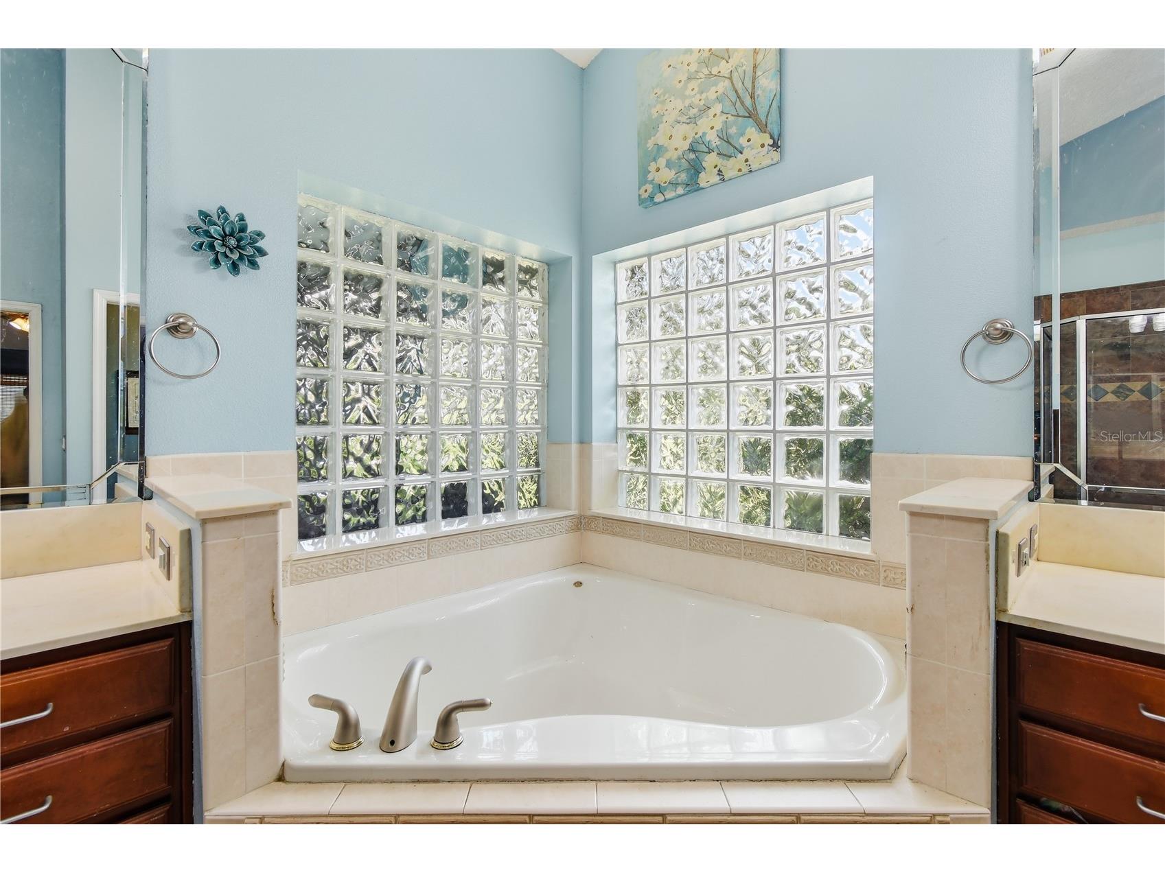 23354 Oak Prairie Circle Sorrento FL 32776 O6427797 image29