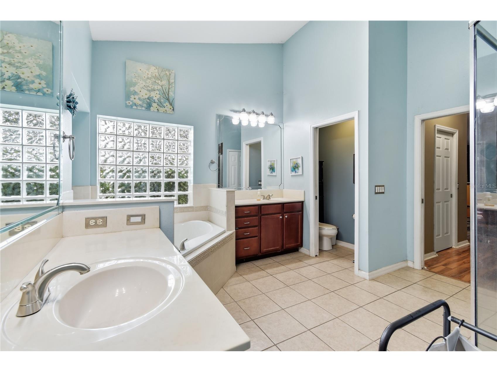 23354 Oak Prairie Circle Sorrento FL 32776 O6427797 image31