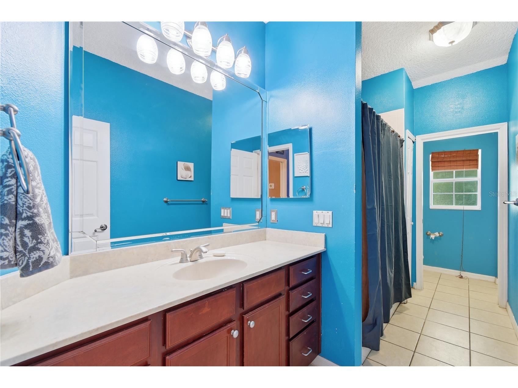 23354 Oak Prairie Circle Sorrento FL 32776 O6427797 image35