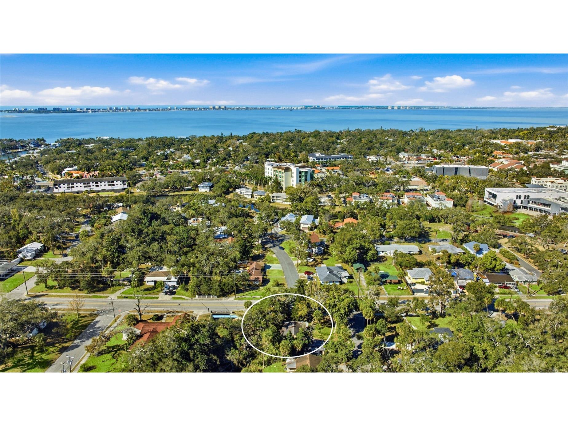 2336 Cocoanut Avenue Sarasota FL 34234 A4681240 image6