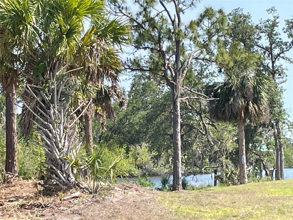 2336 Hale Street Port Charlotte FL 33953 C7509748 image14