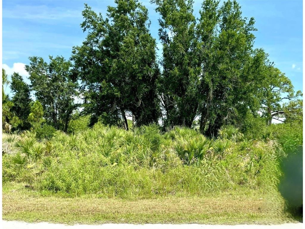 2336 Hale Street Port Charlotte FL 33953 C7509748 image15