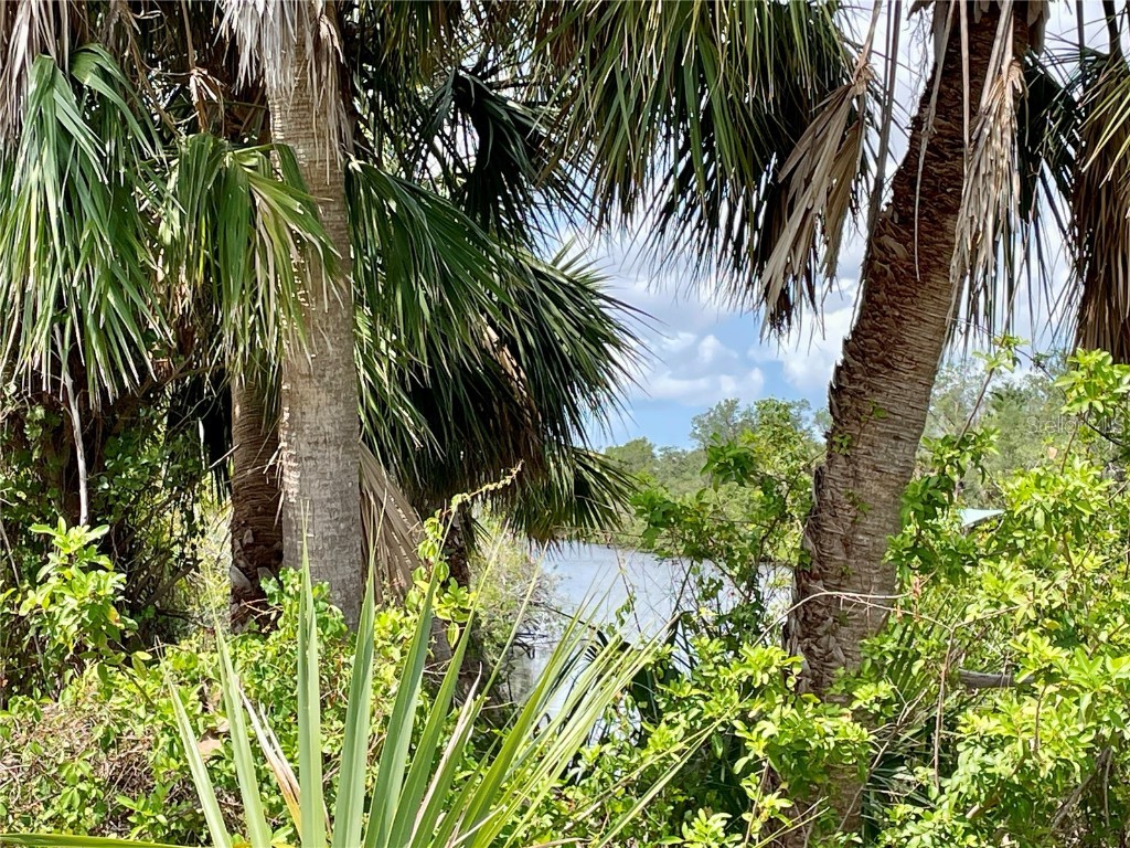 2336 Hale Street Port Charlotte FL 33953 C7509748 image7