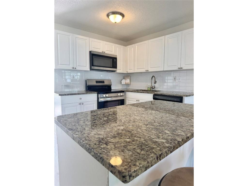 2336 Nansen Avenue Orlando FL 32817 R4909062 image11