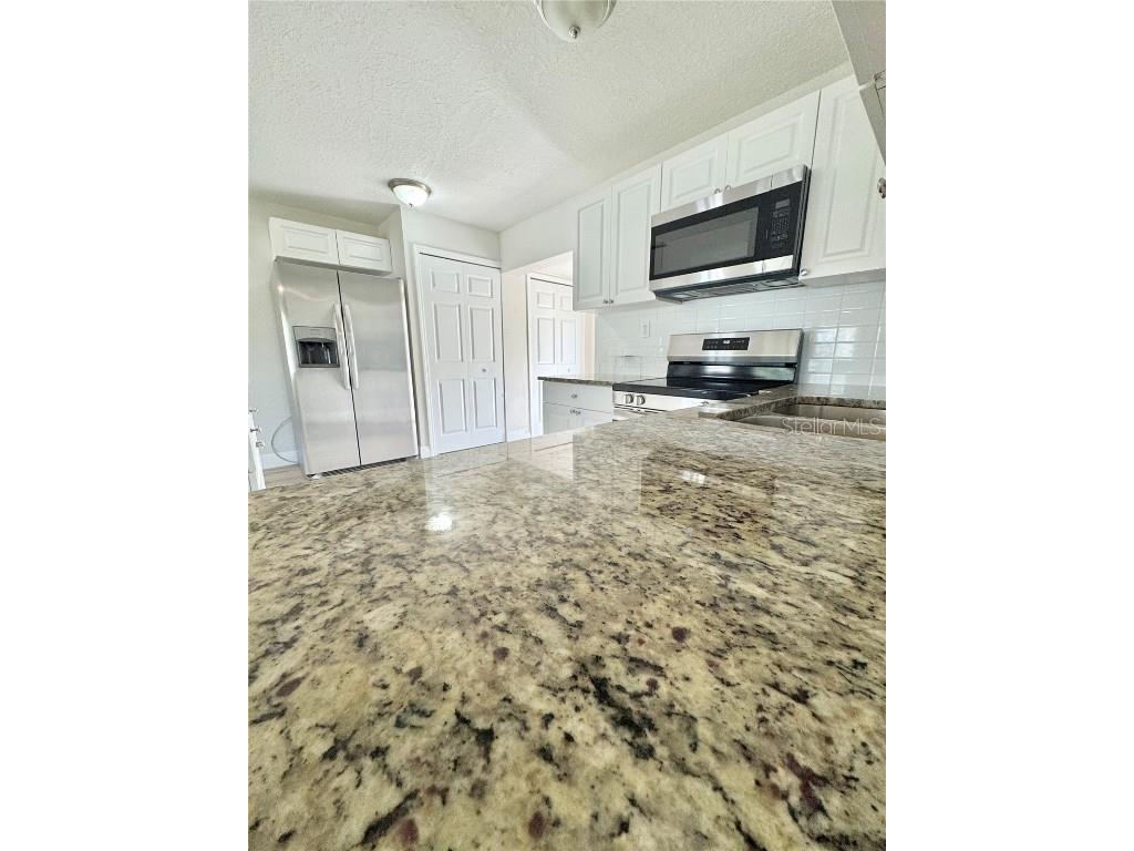 2336 Nansen Avenue Orlando FL 32817 R4909062 image12