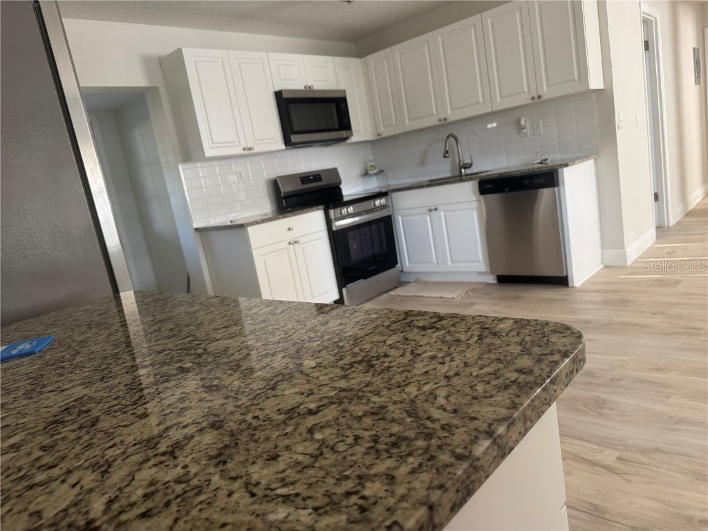 2336 Nansen Avenue Orlando FL 32817 R4909750 image30