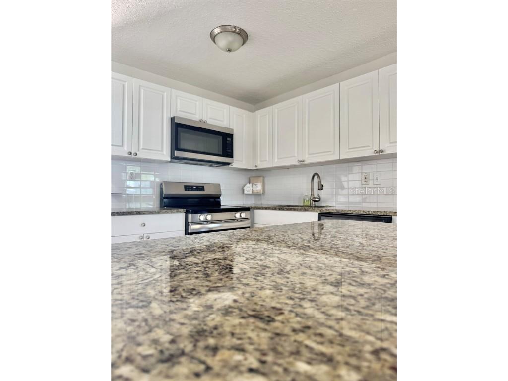 2336 Nansen Avenue Orlando FL 32817 R4909750 image7