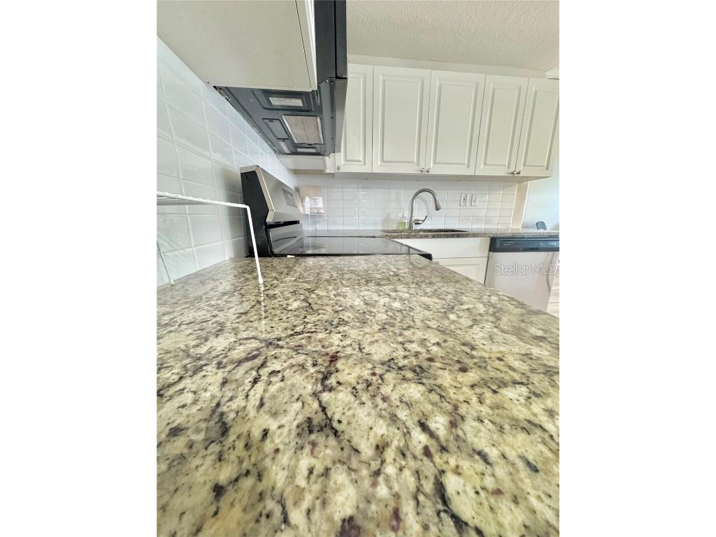 2336 Nansen Avenue Orlando FL 32817 R4909750 image8