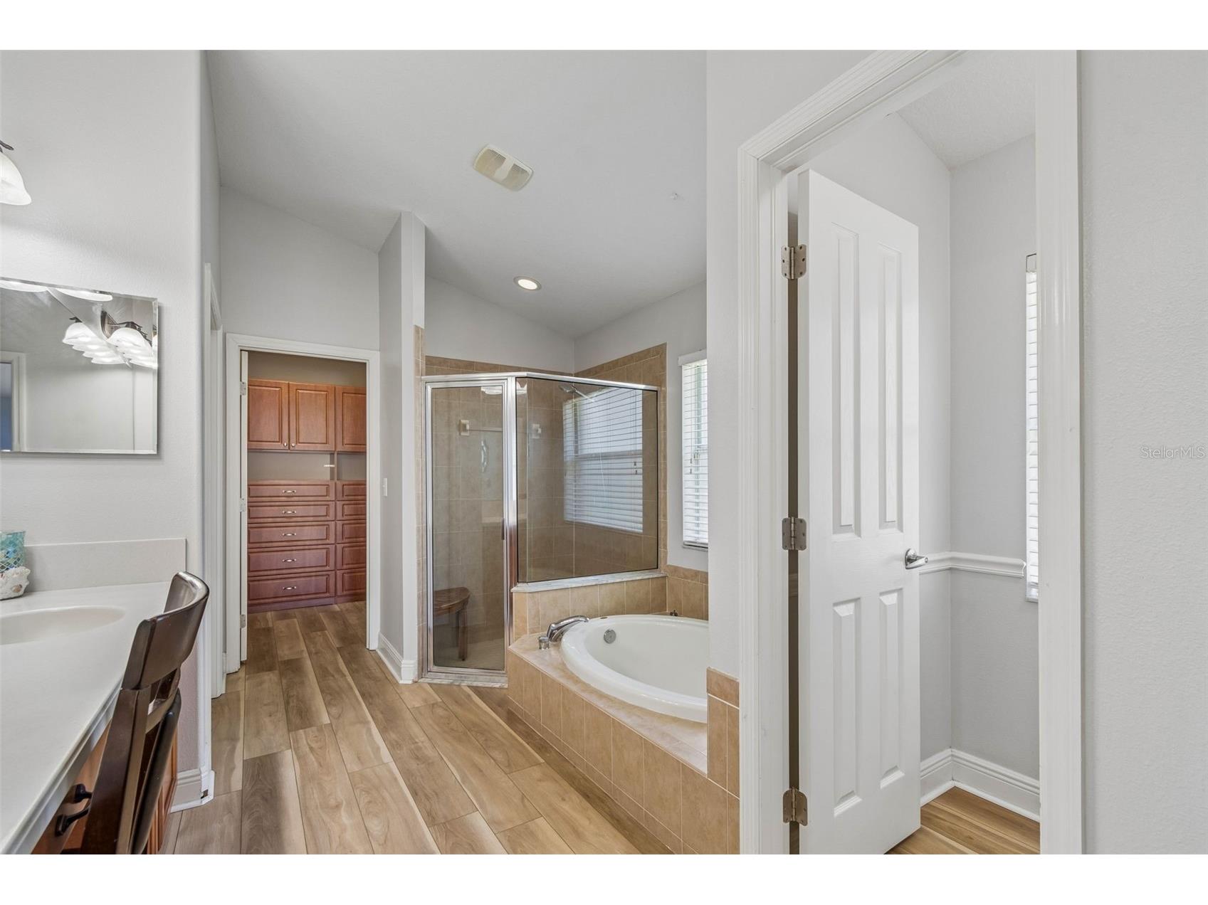 2336 Nesslewood Drive Wesley Chapel FL 33543 TB8499263 image34