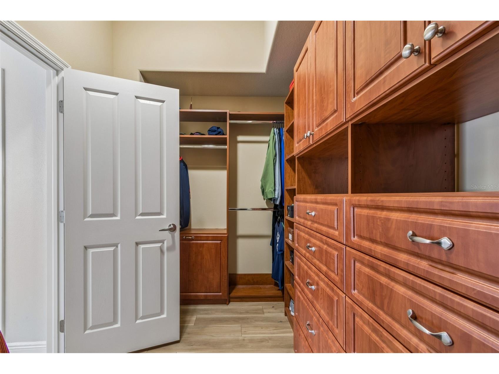 2336 Nesslewood Drive Wesley Chapel FL 33543 TB8499263 image39