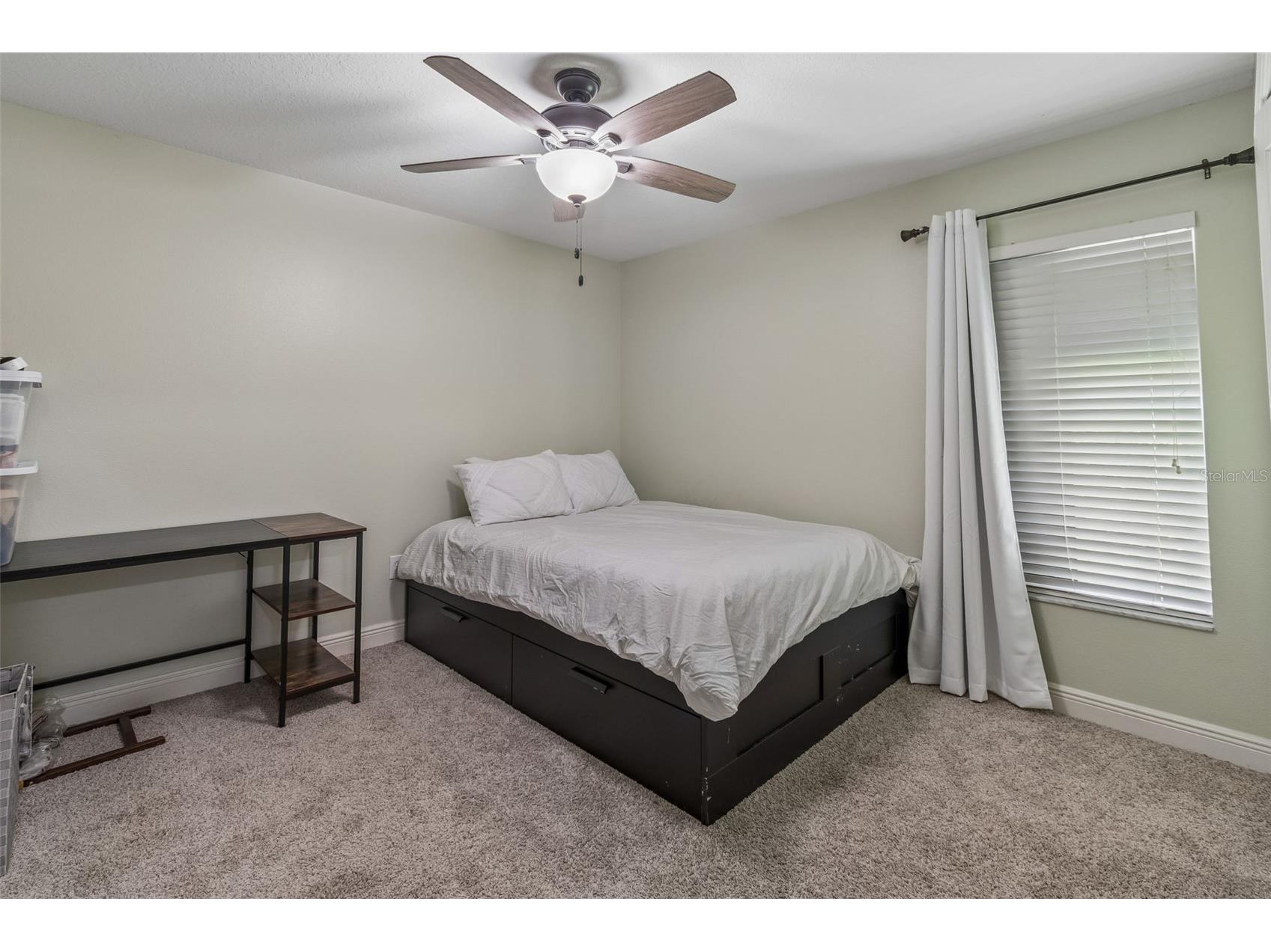 2336 Nesslewood Drive Wesley Chapel FL 33543 TB8499263 image48