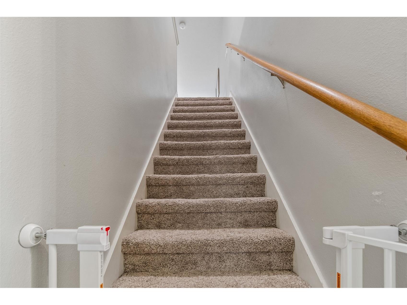 2336 Nesslewood Drive Wesley Chapel FL 33543 TB8499263 image50