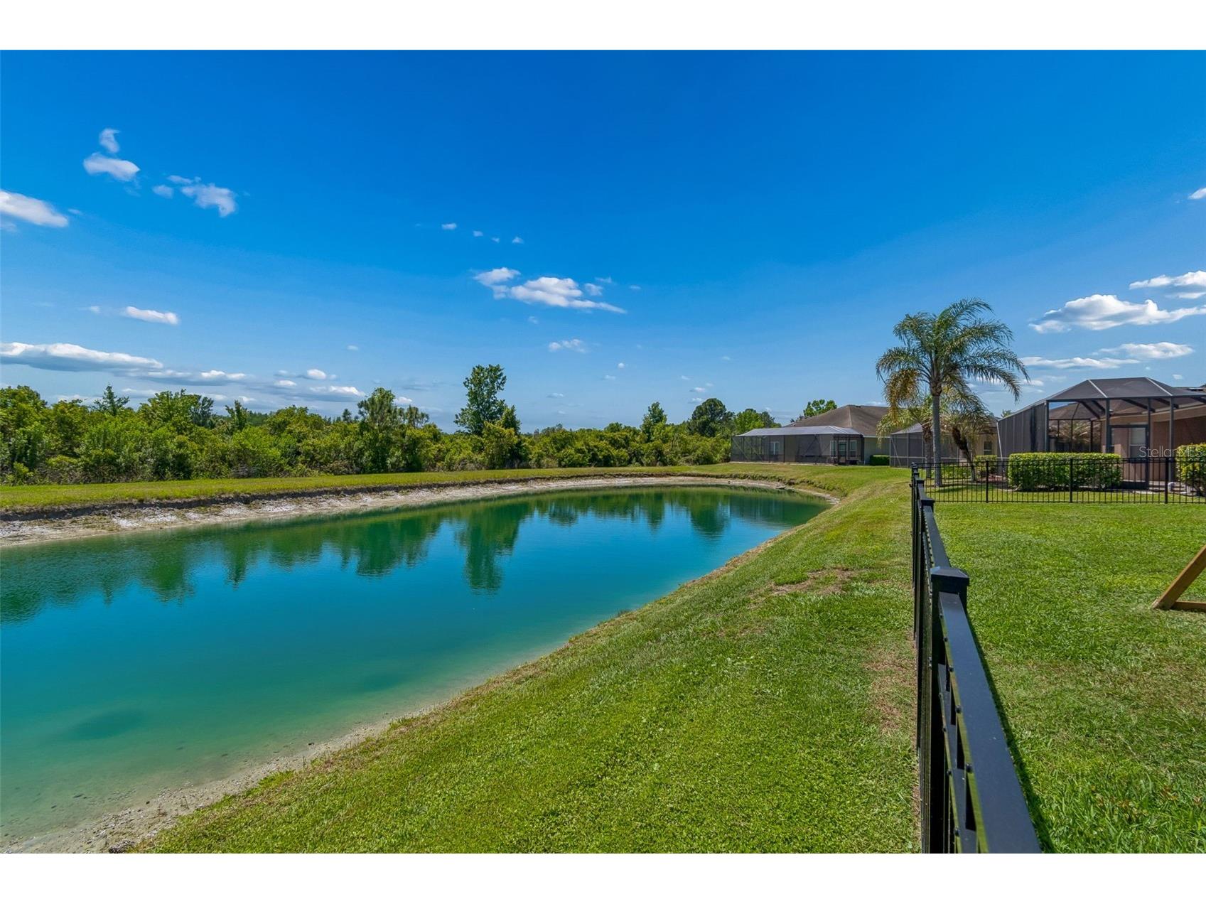 2336 Nesslewood Drive Wesley Chapel FL 33543 TB8499263 image71