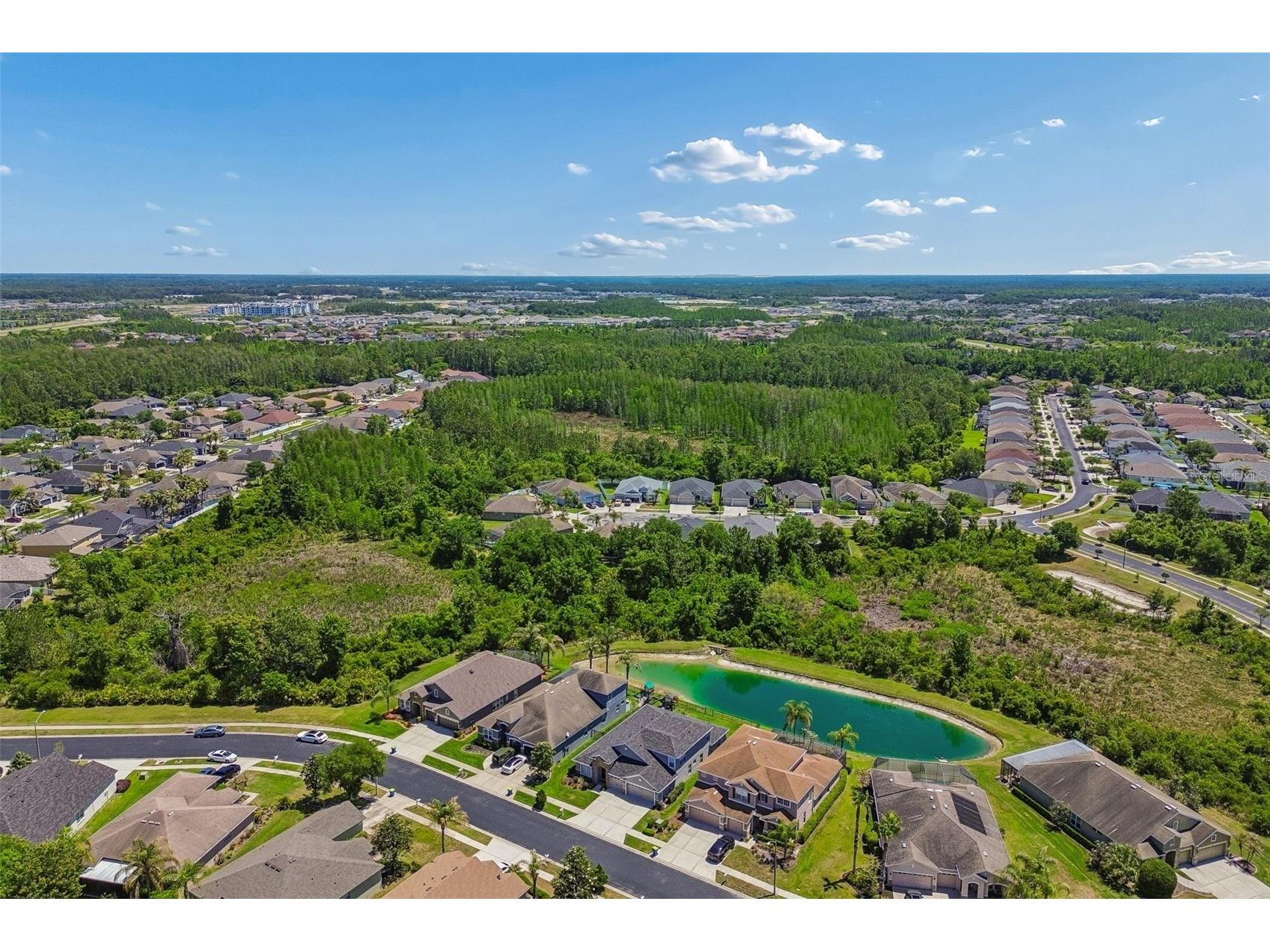 2336 Nesslewood Drive Wesley Chapel FL 33543 TB8499263 image79