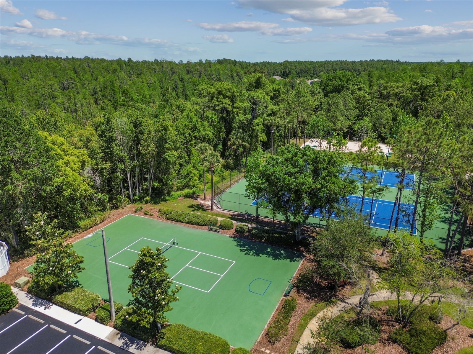2336 Nesslewood Drive Wesley Chapel FL 33543 TB8499263 image93