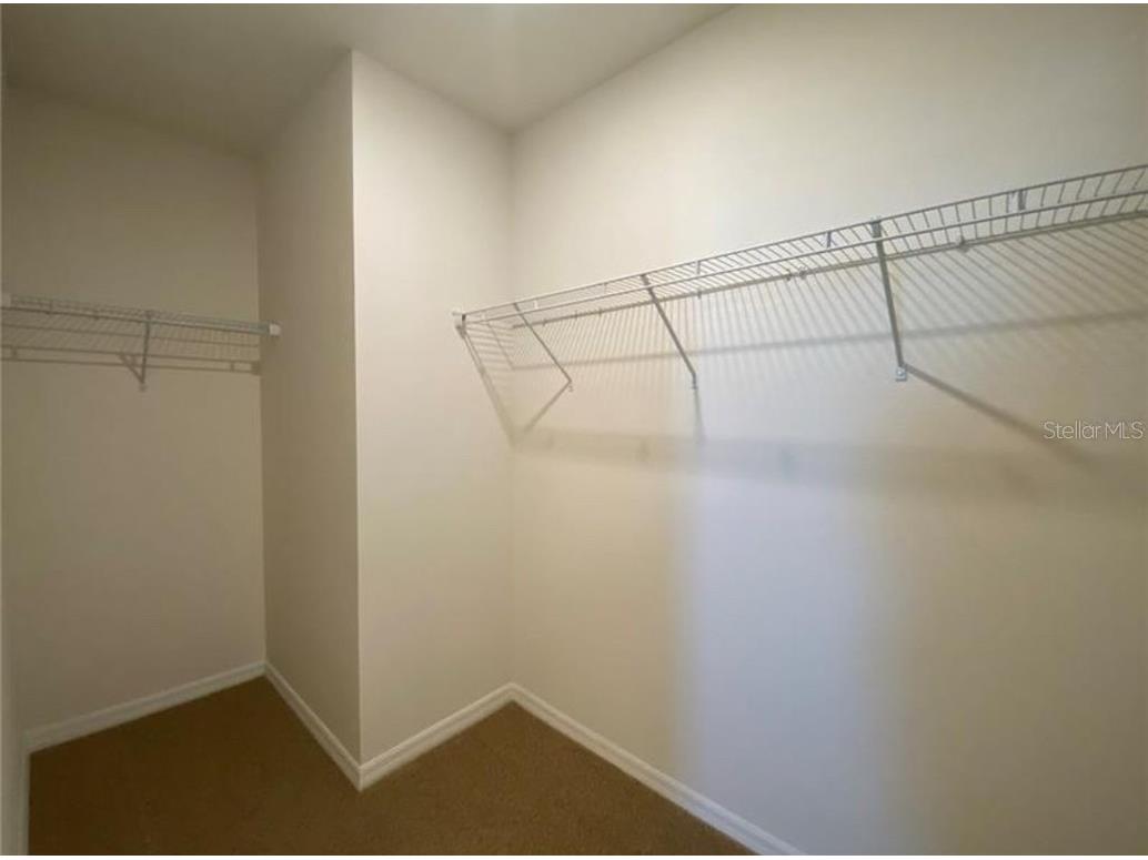 2336 White Poppy Drive Kissimmee FL 34747 S5126946 image12