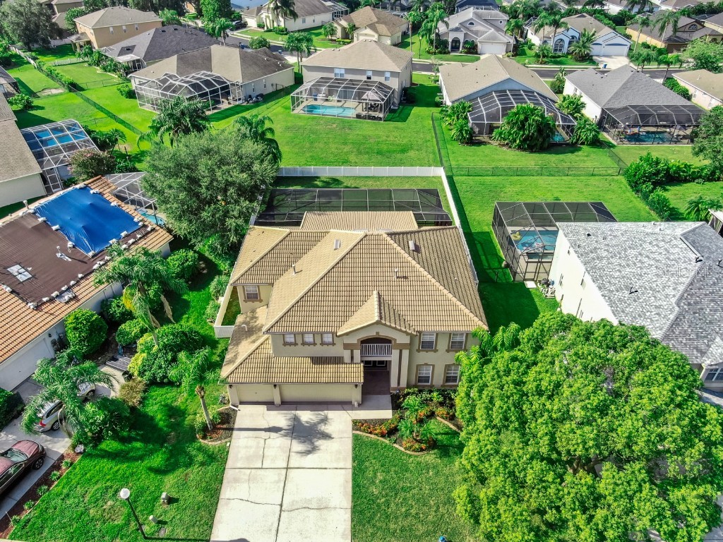 2336 Winsloe Drive Trinity FL 34655 TB8422547 image2