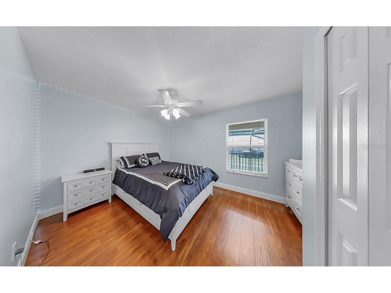 2336 Winsloe Drive Trinity FL 34655 TB8422547 image41