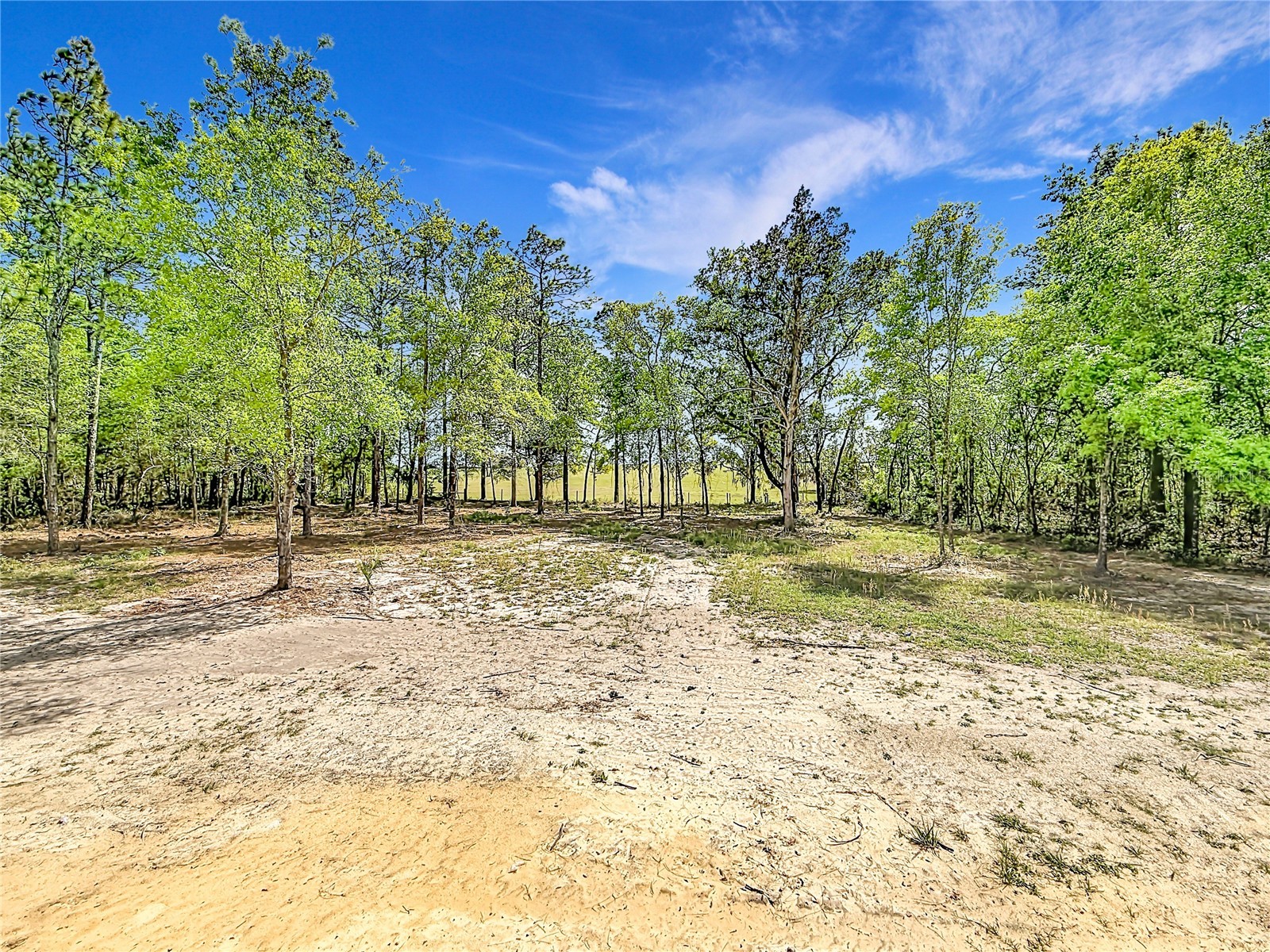 23360 SW Tiger Lake Boulevard Dunnellon FL 34431 OM714585 image33