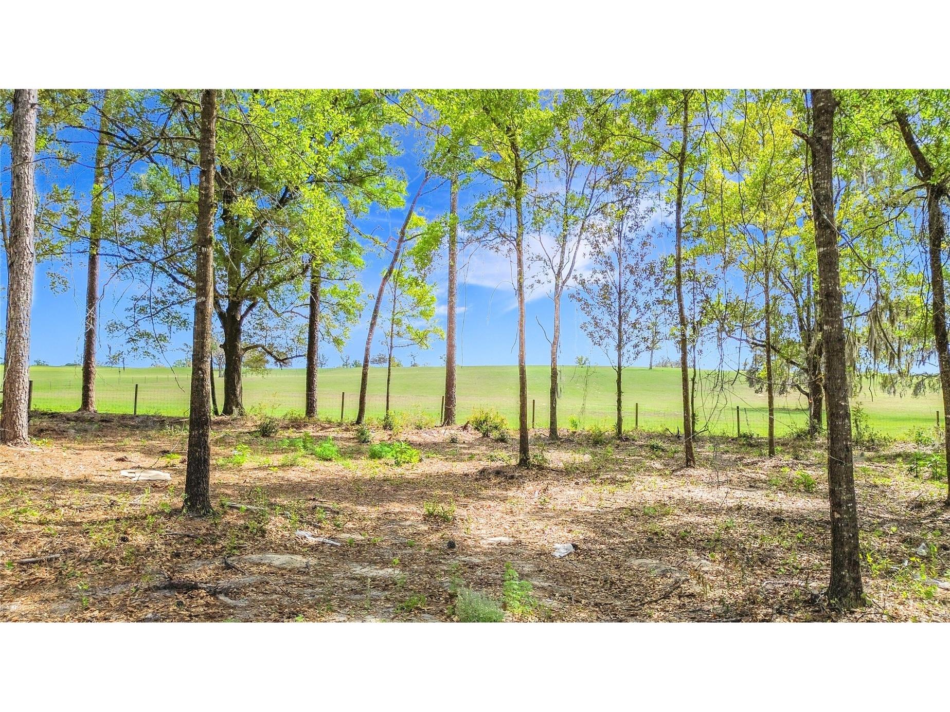 23360 SW Tiger Lake Boulevard Dunnellon FL 34431 OM714585 image39