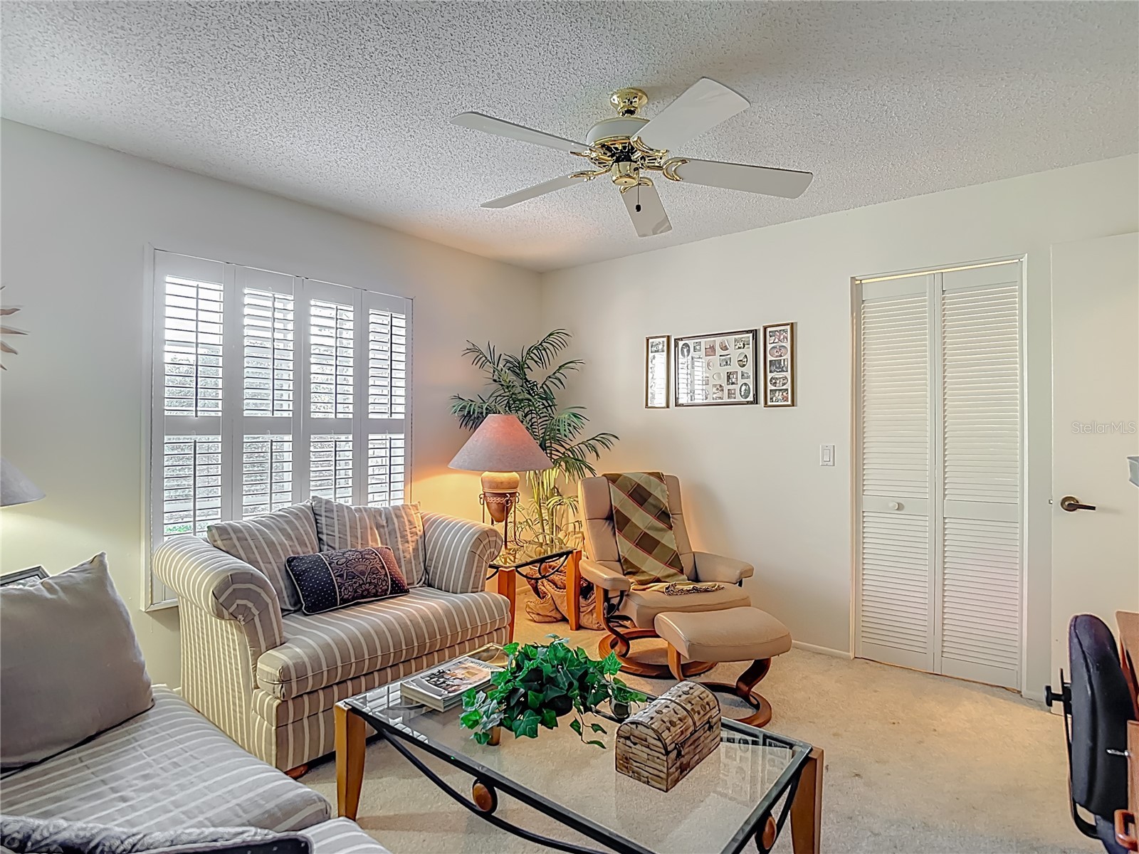 2337 Hidden Trail Drive Spring Hill FL 34606 TB8462697 image12