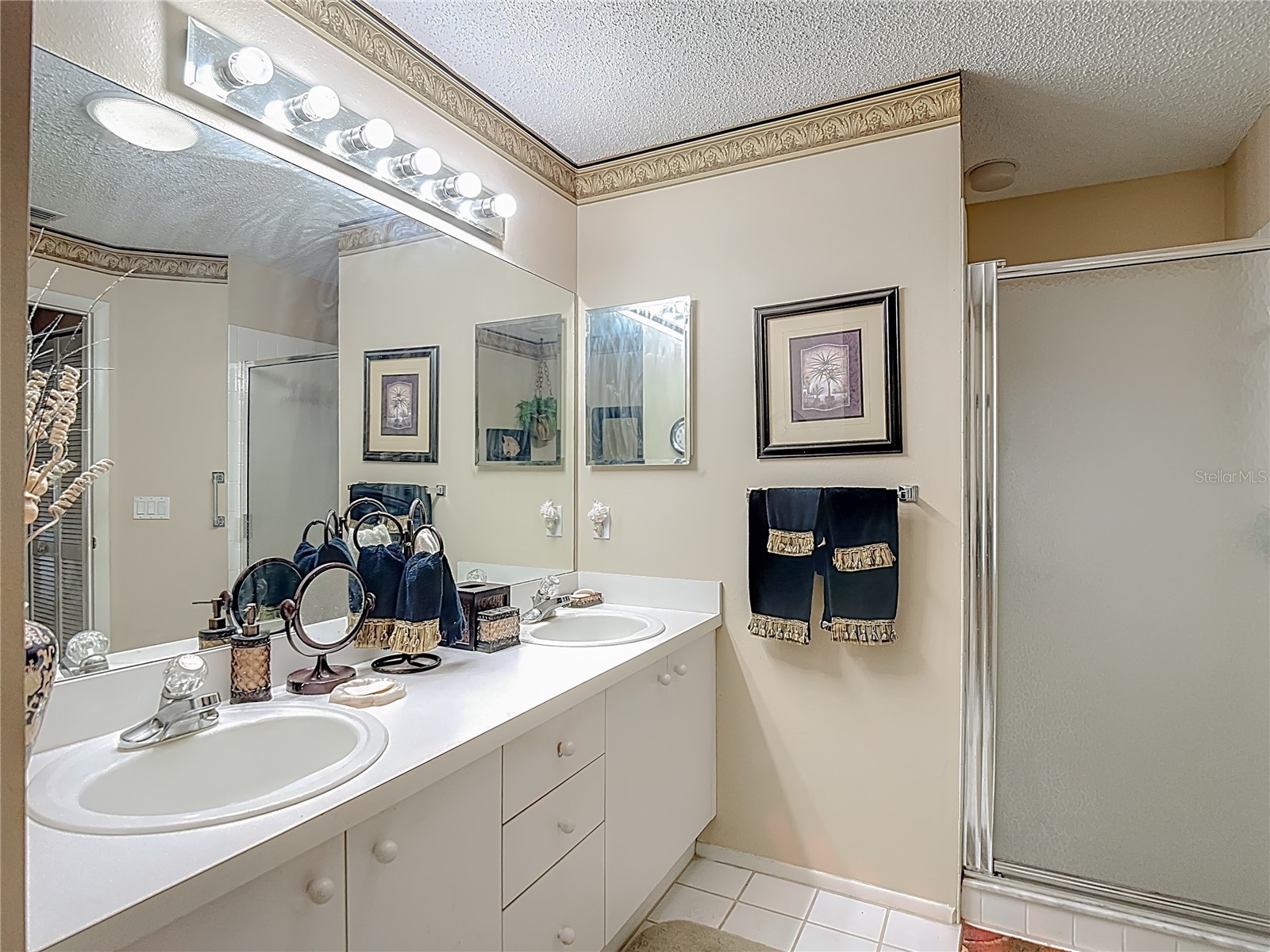 2337 Hidden Trail Drive Spring Hill FL 34606 TB8462697 image16