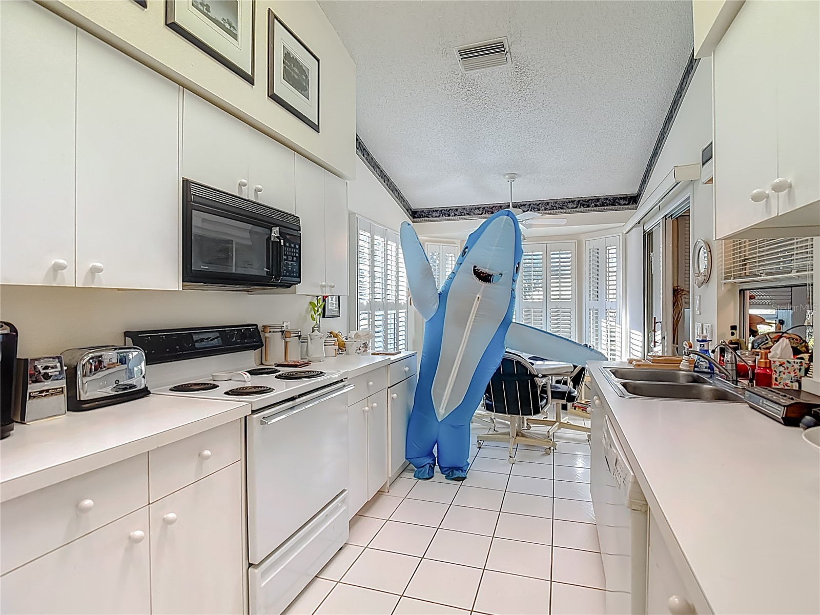 2337 Hidden Trail Drive Spring Hill FL 34606 TB8462697 image8