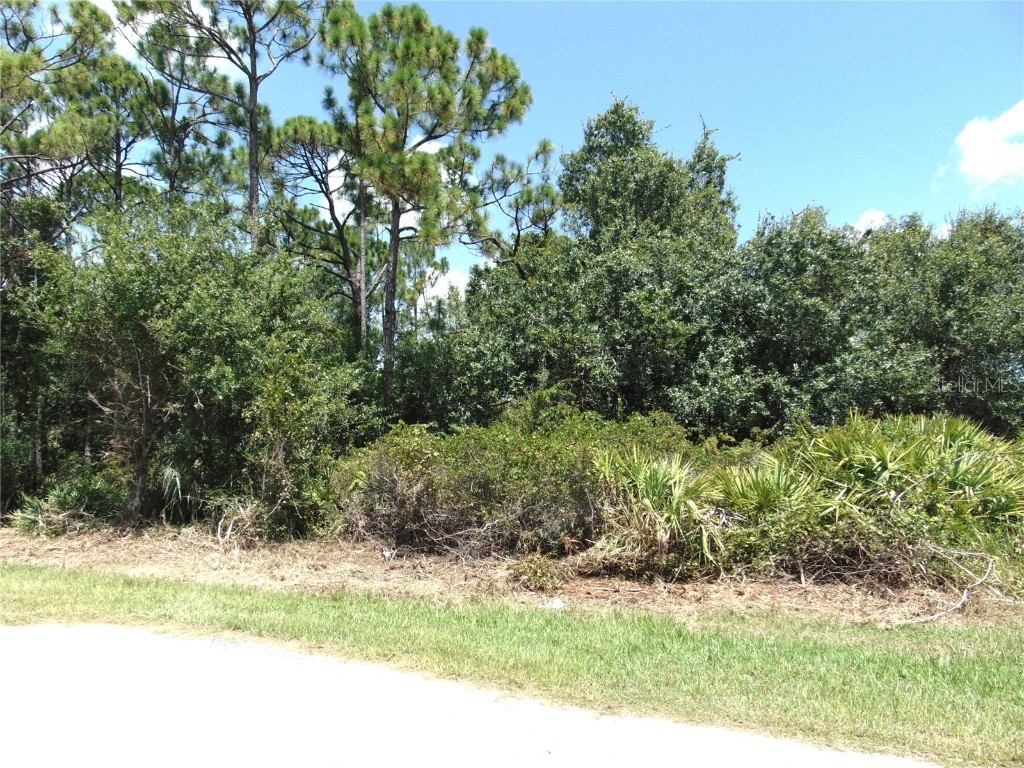 23376 Corinne Avenue Port Charlotte FL 33980 C7513829 image1